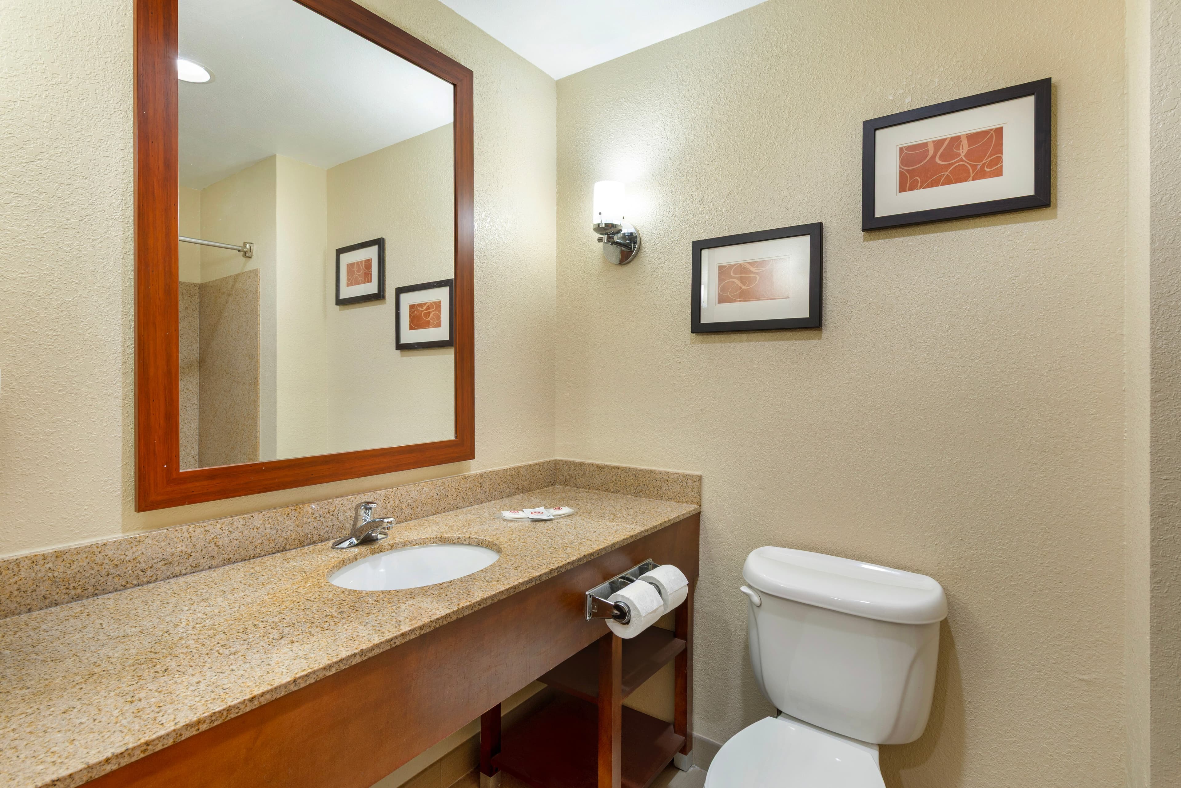 Comfort Suites Oxford I-20 exit 188 — 23