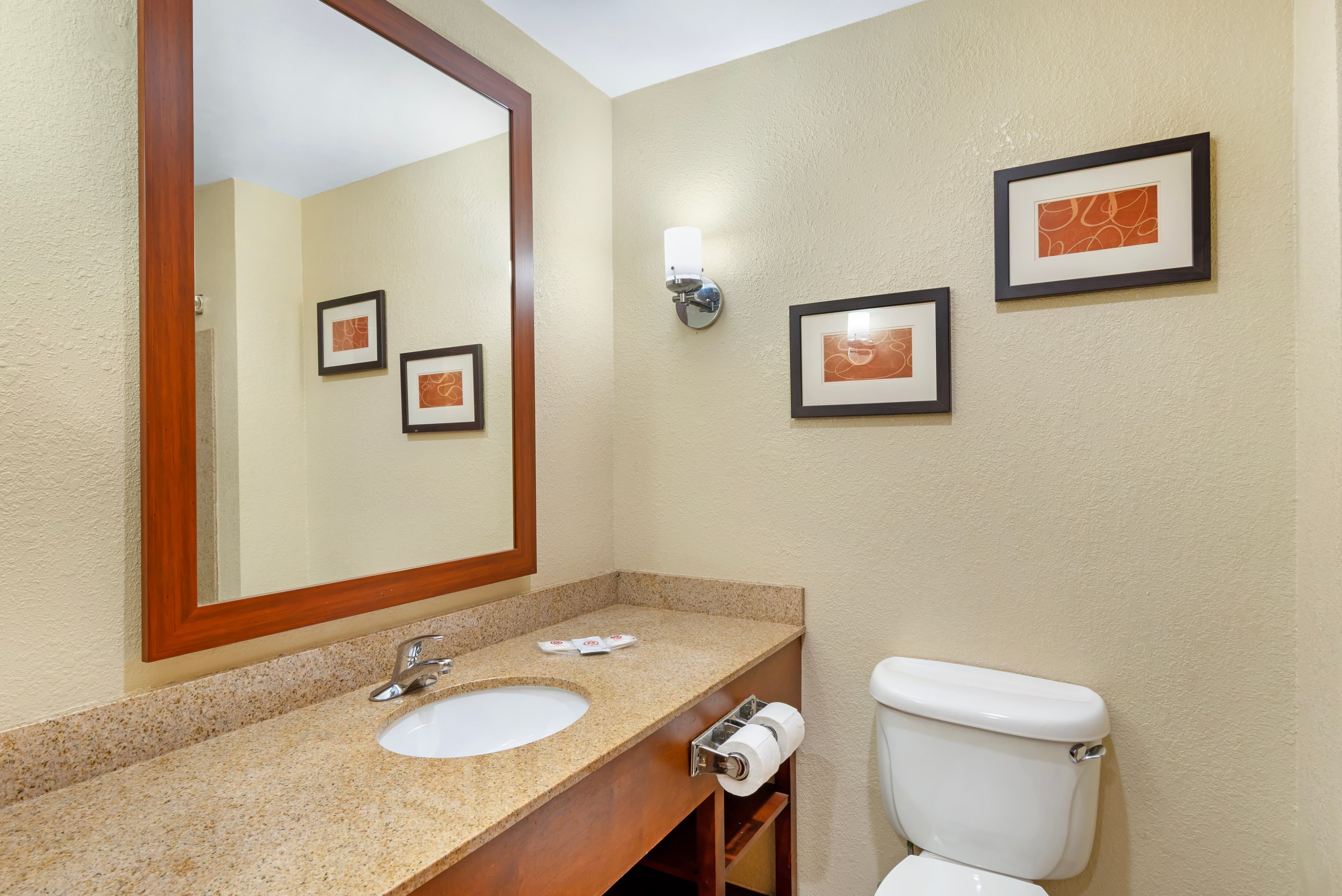 Comfort Suites Oxford I-20 exit 188 — 12