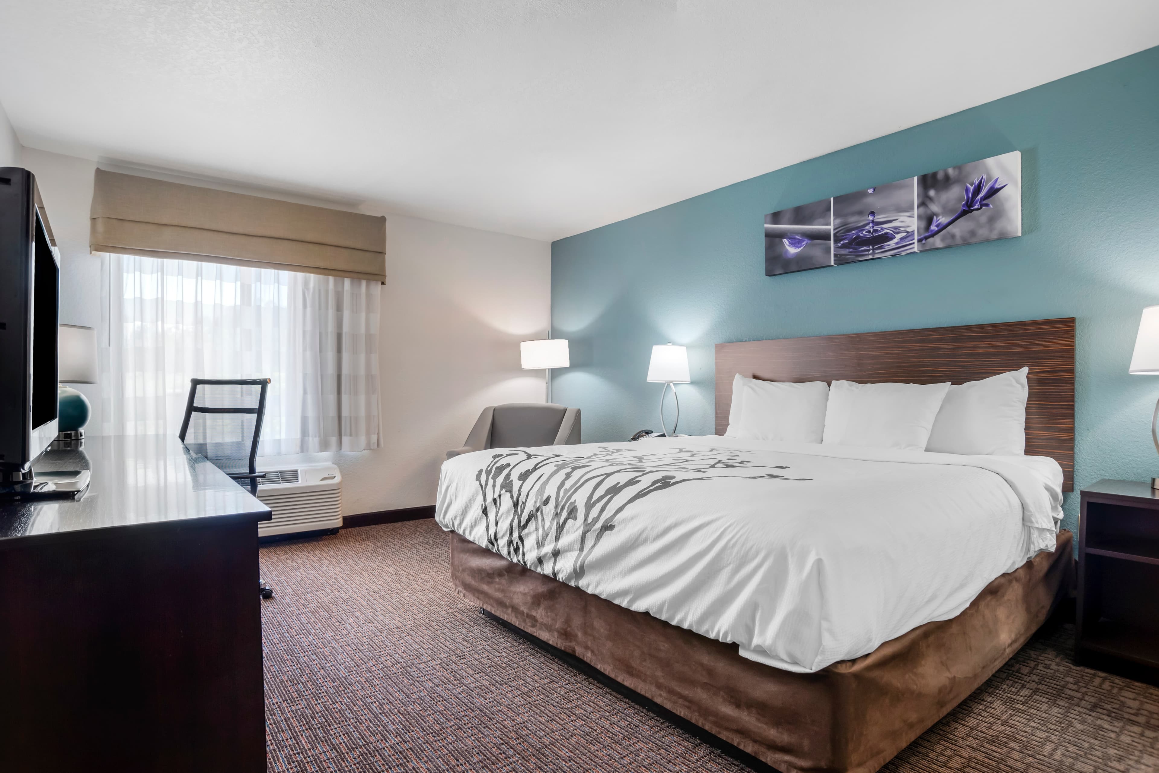 Sleep Inn & Suites Auburn Campus Area I-85 - Image 3