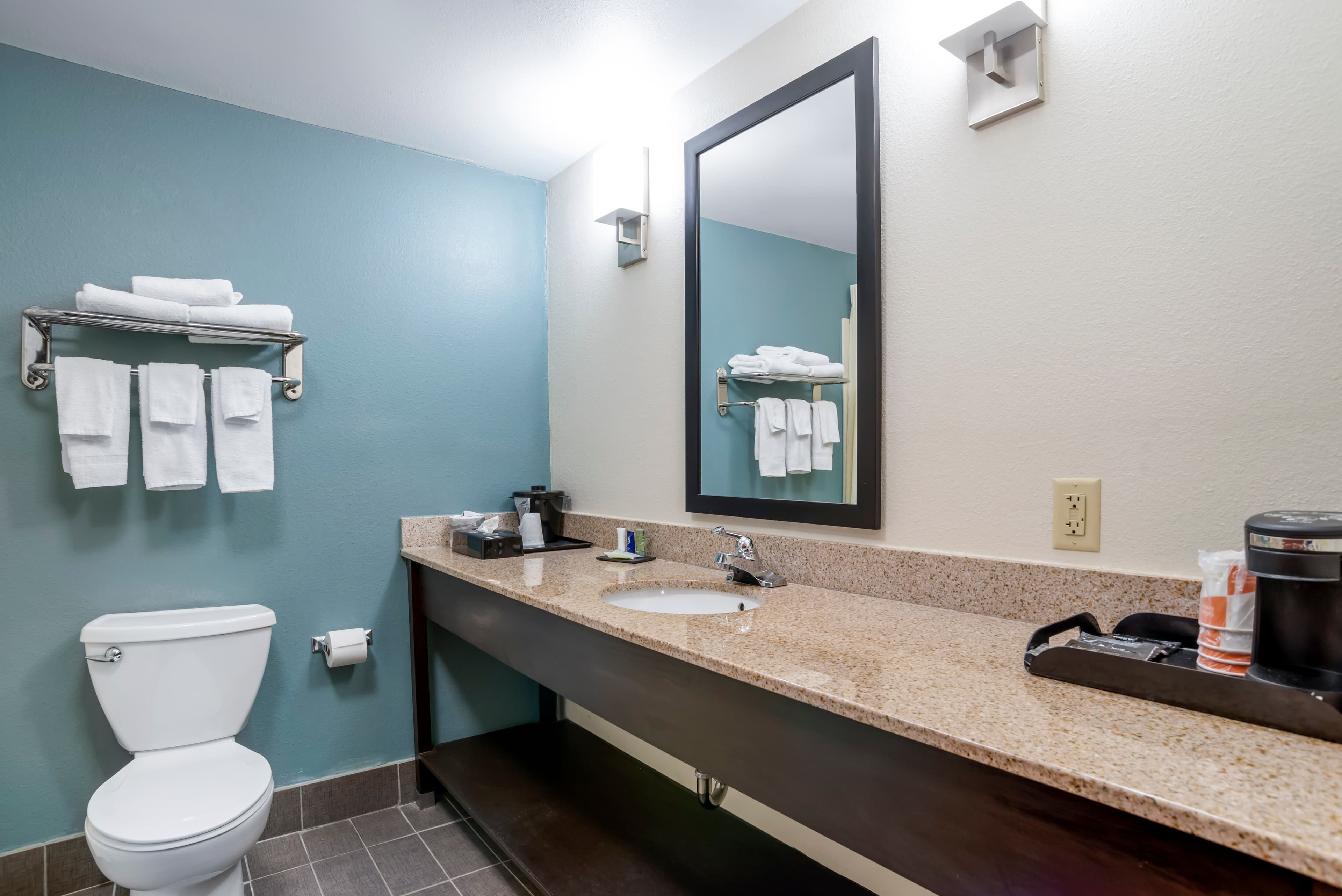Sleep Inn & Suites Auburn Campus Area I-85 — 21