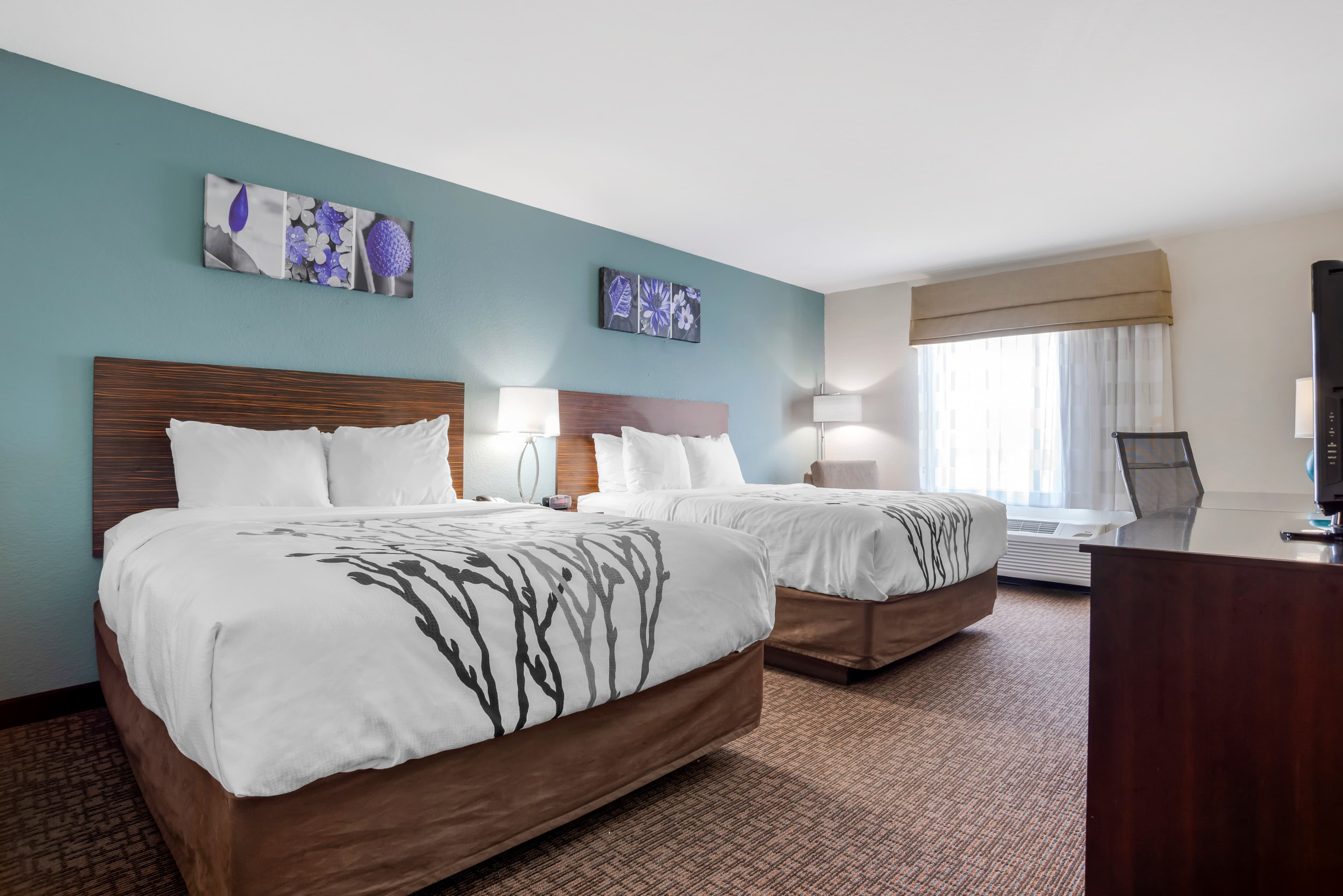 Sleep Inn & Suites Auburn Campus Area I-85 — 13
