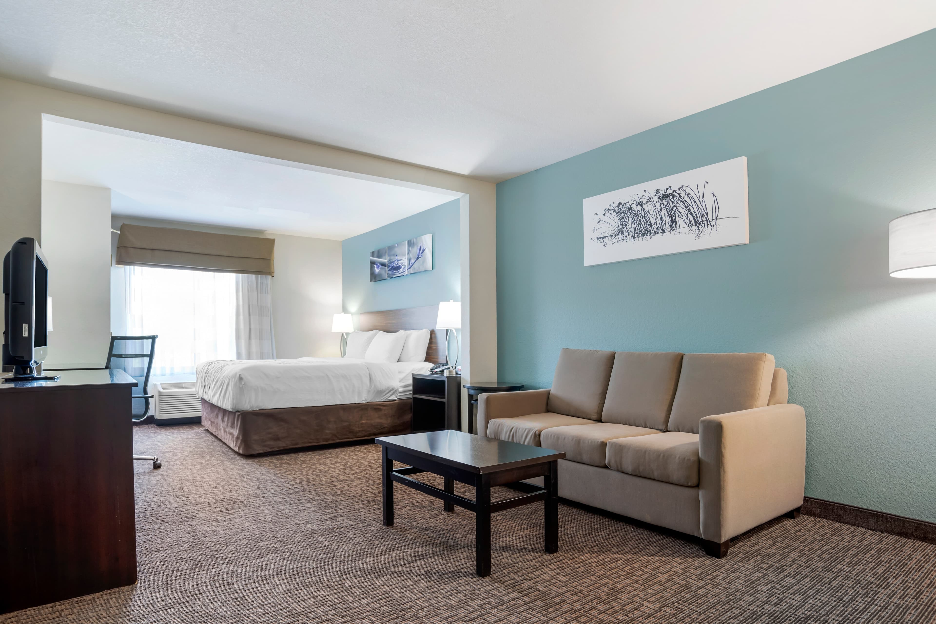 Sleep Inn & Suites Auburn Campus Area I-85 — 36