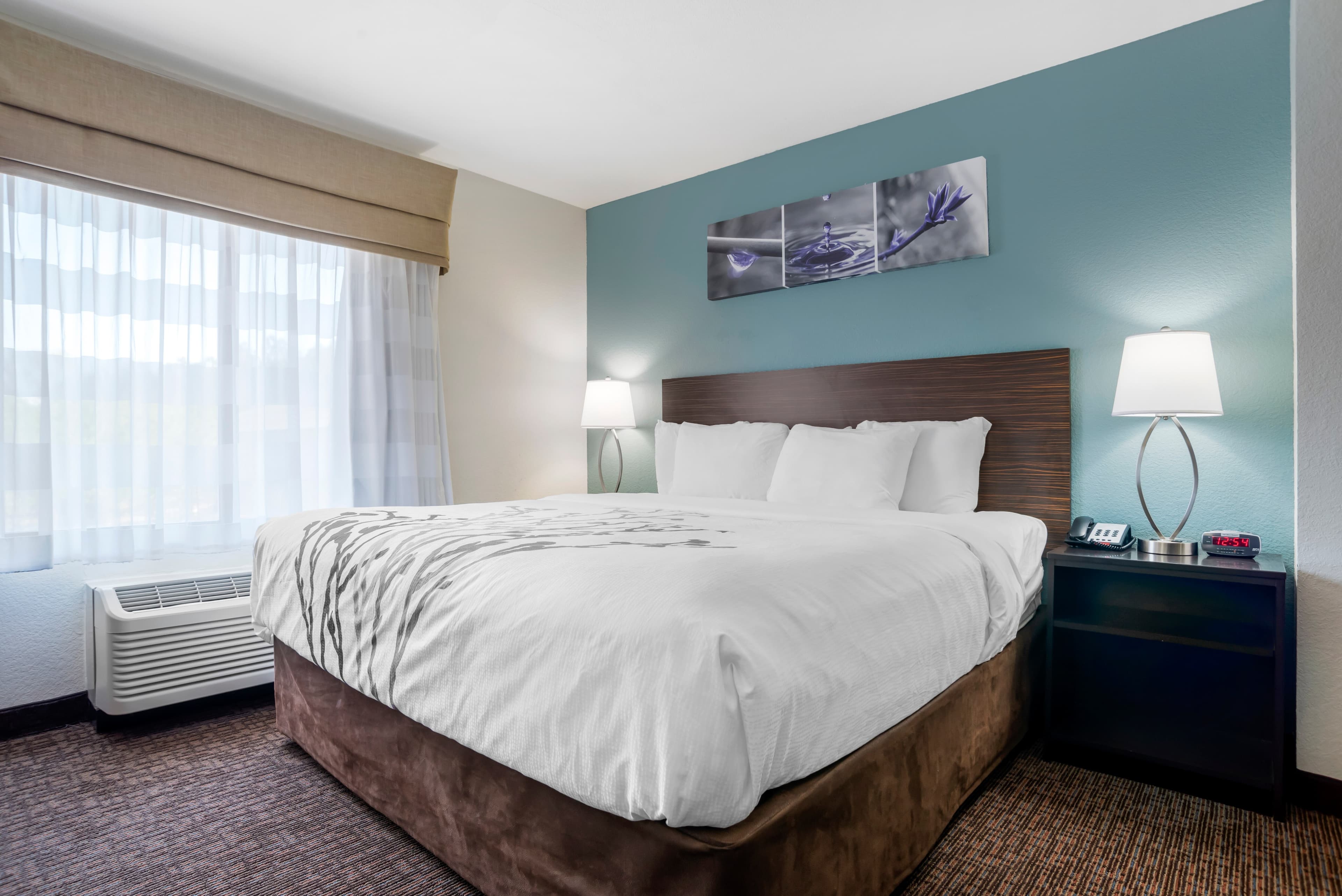 Sleep Inn & Suites Auburn Campus Area I-85 — 38