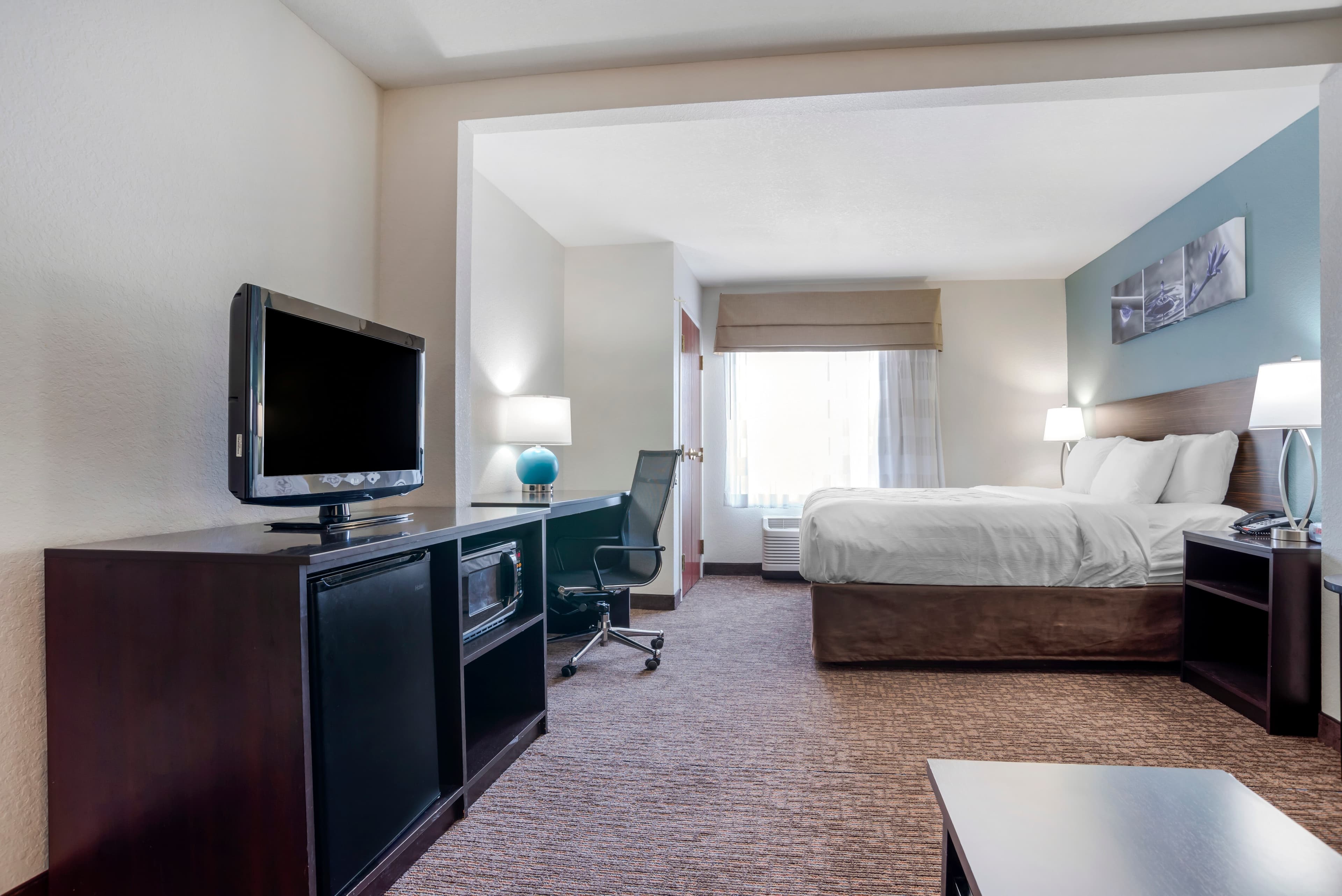 Sleep Inn & Suites Auburn Campus Area I-85 — 39