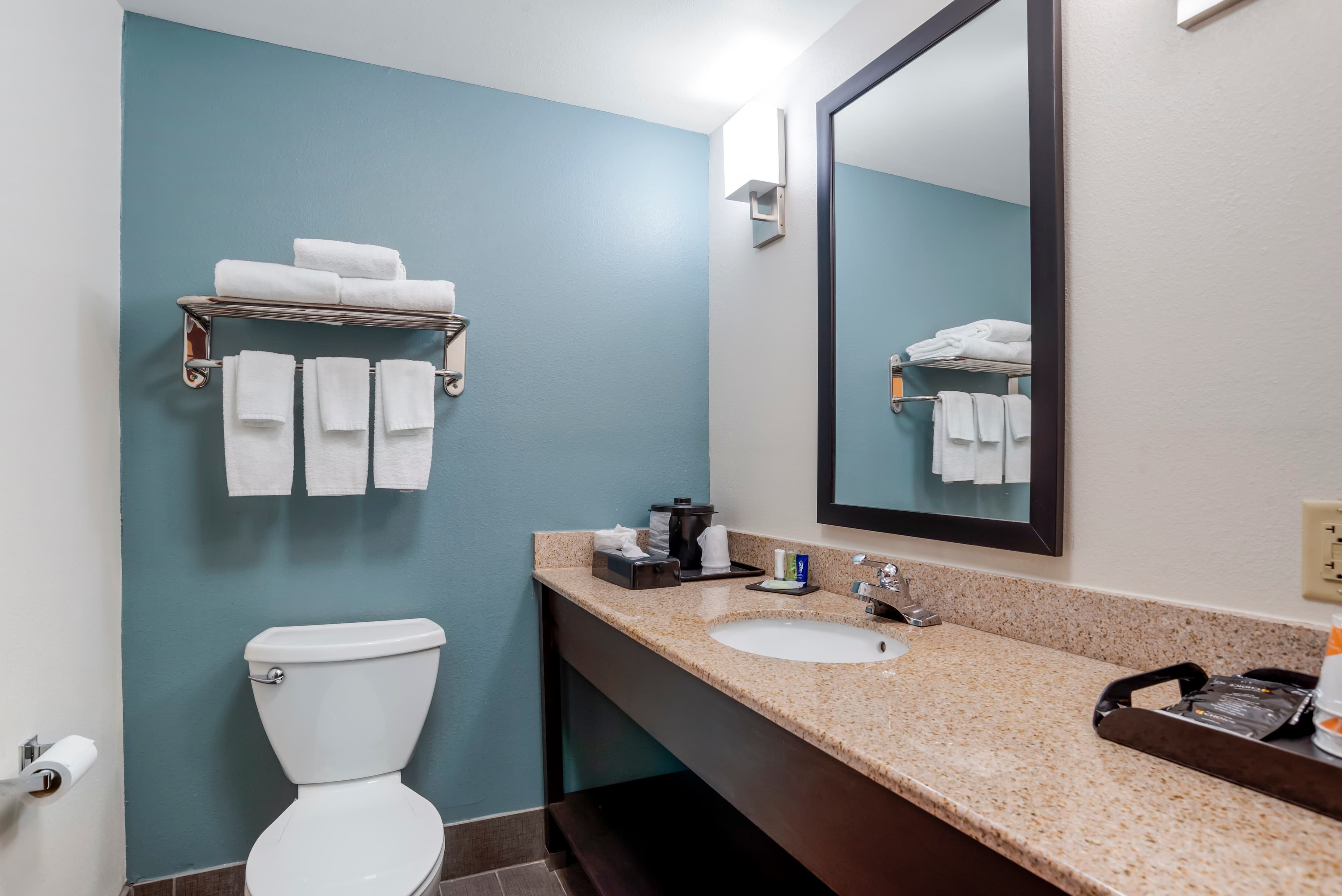 Sleep Inn & Suites Auburn Campus Area I-85 — 44