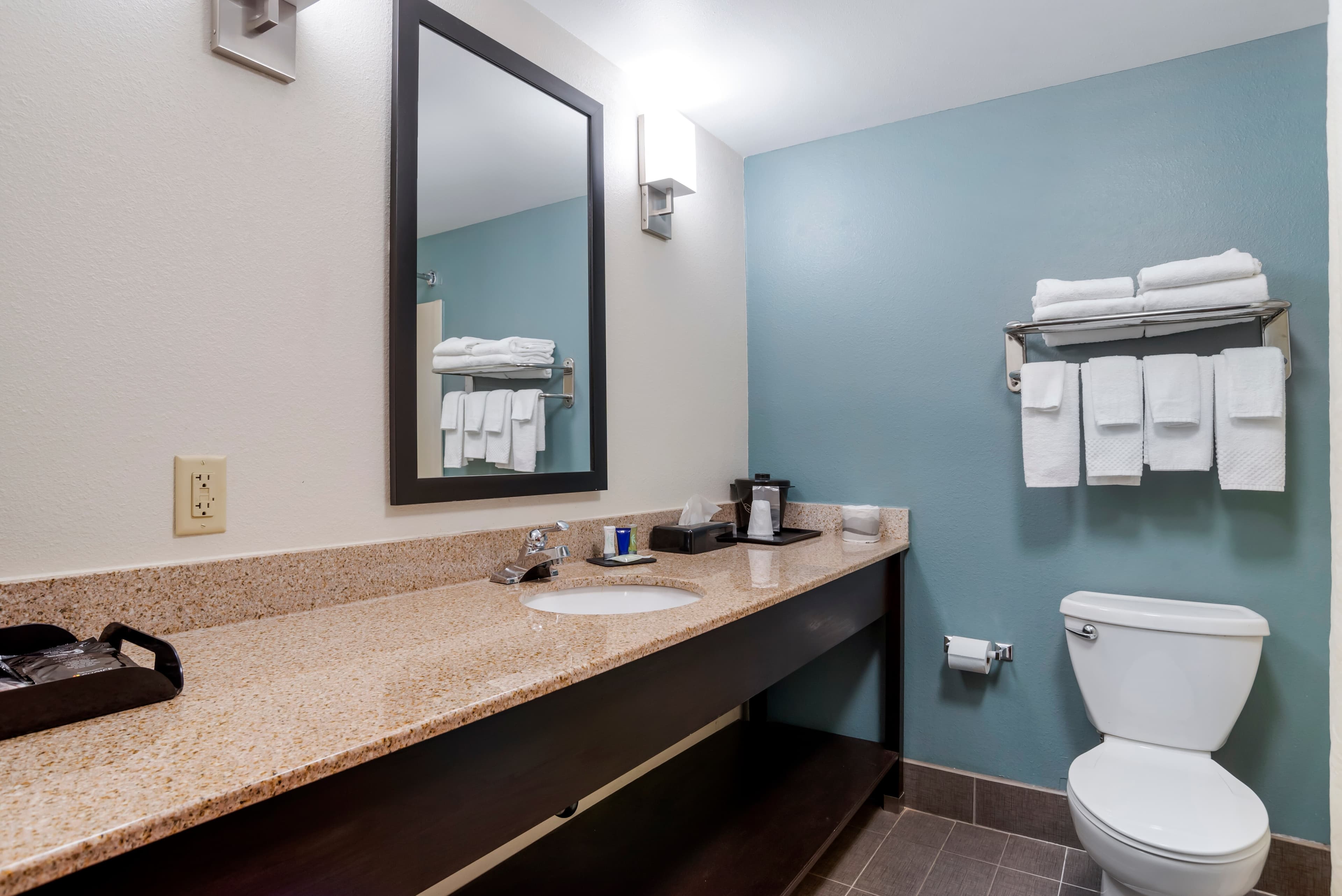 Sleep Inn & Suites Auburn Campus Area I-85 — 49