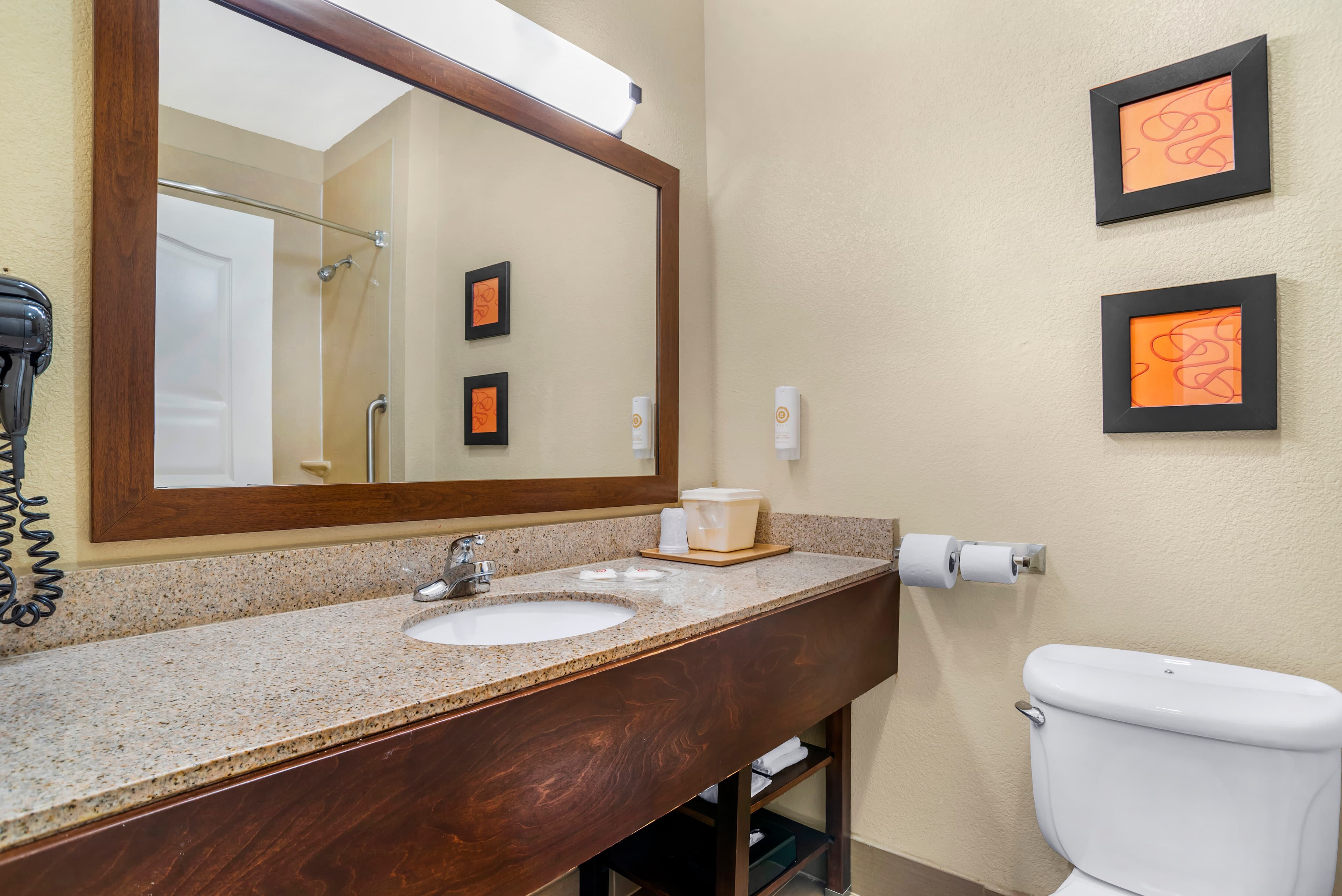 Comfort Suites Montgomery East Monticello Dr — 21