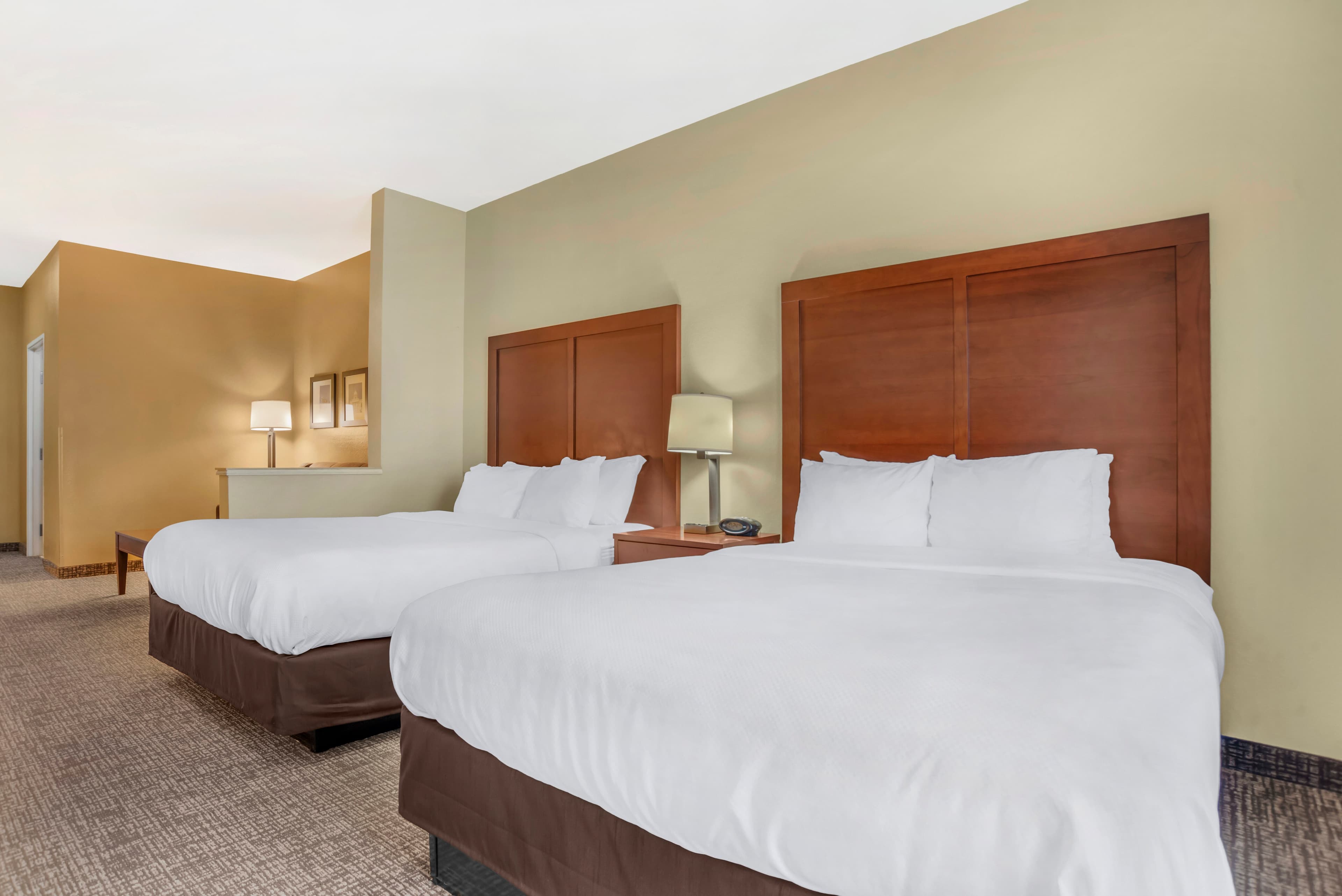 Comfort Suites Montgomery East Monticello Dr — 12
