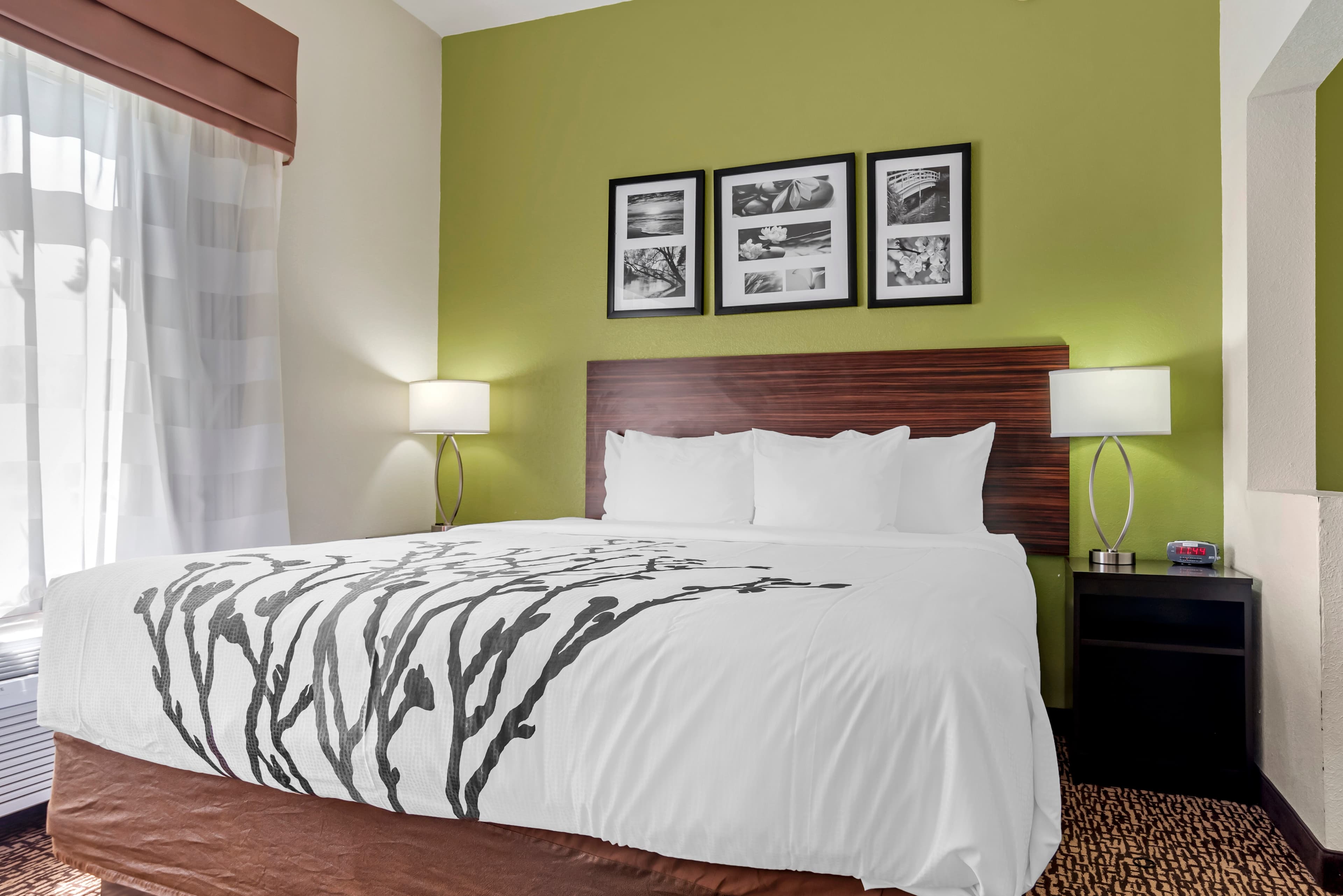Sleep Inn & Suites Montgomery East I-85 - Image 2
