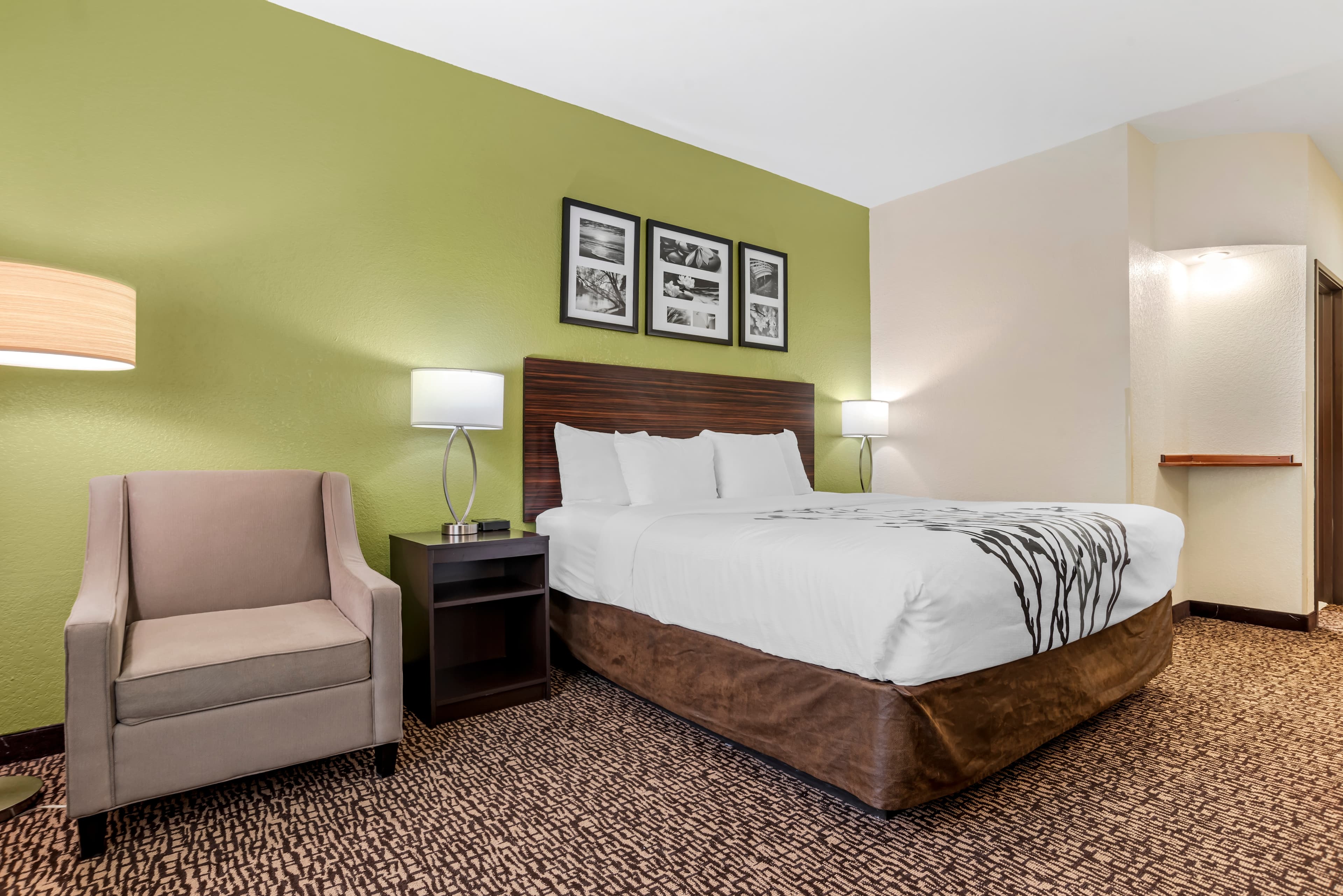 Sleep Inn & Suites Montgomery East I-85 — 35