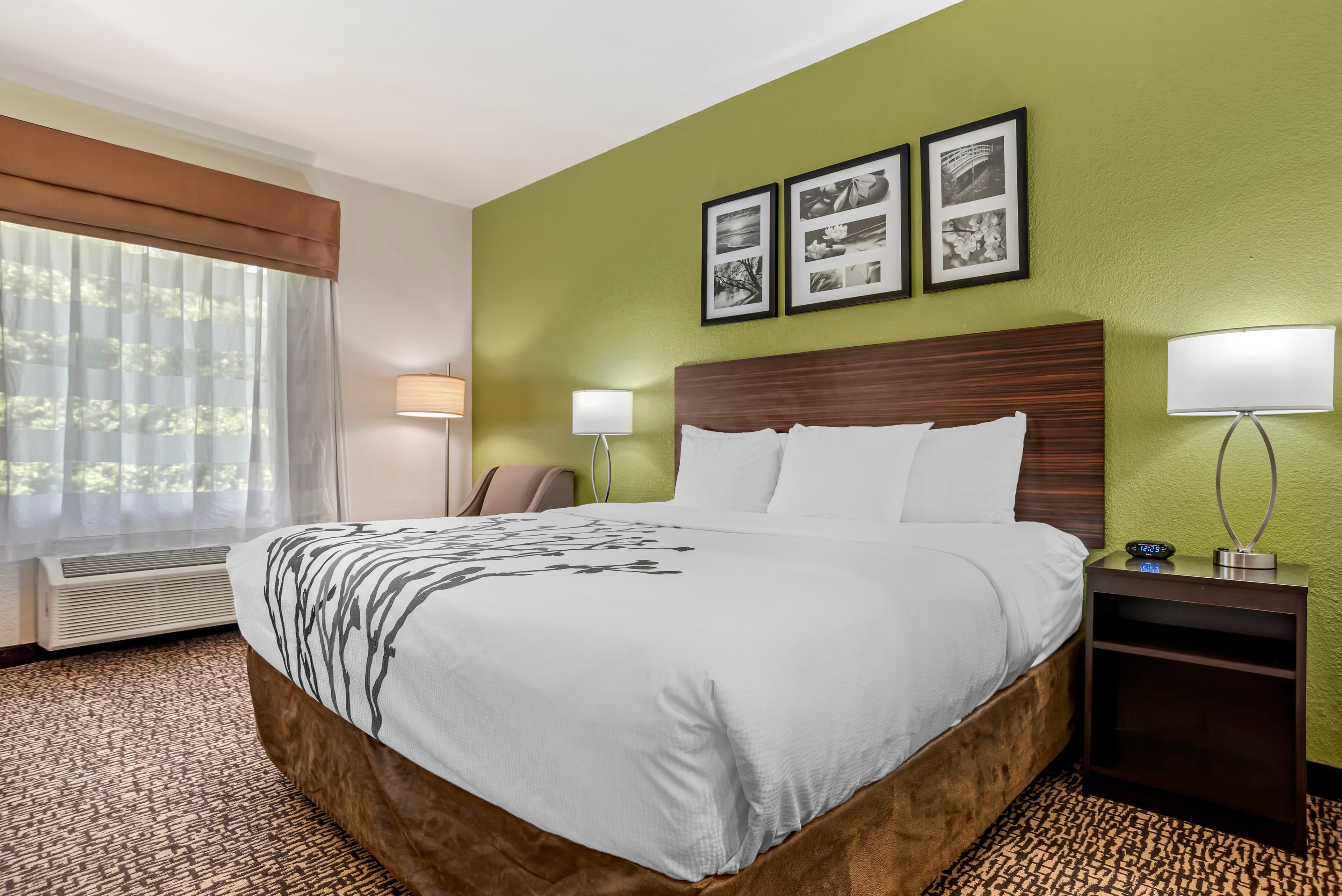 Sleep Inn & Suites Montgomery East I-85 — 36