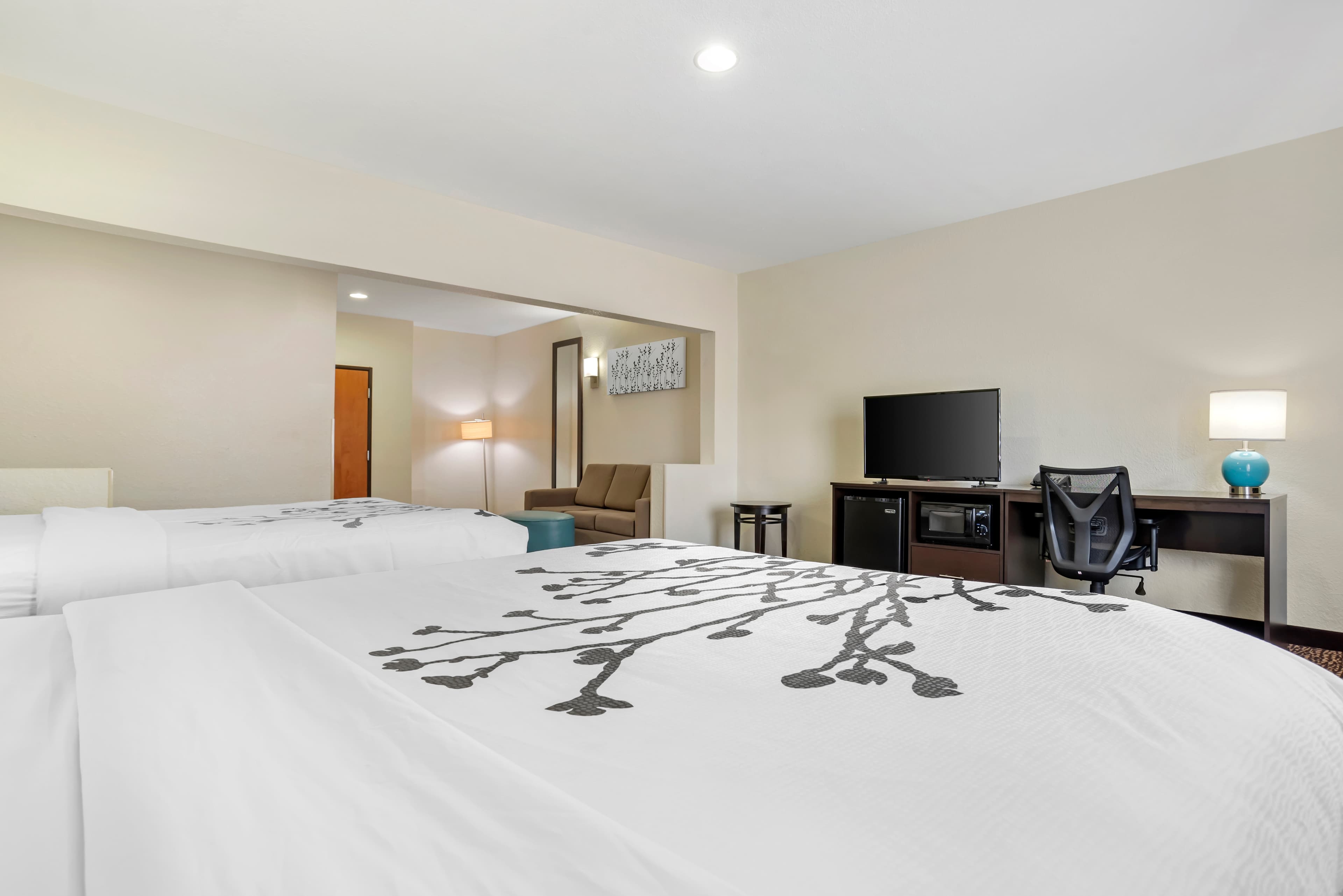Sleep Inn & Suites Montgomery East I-85 — 41
