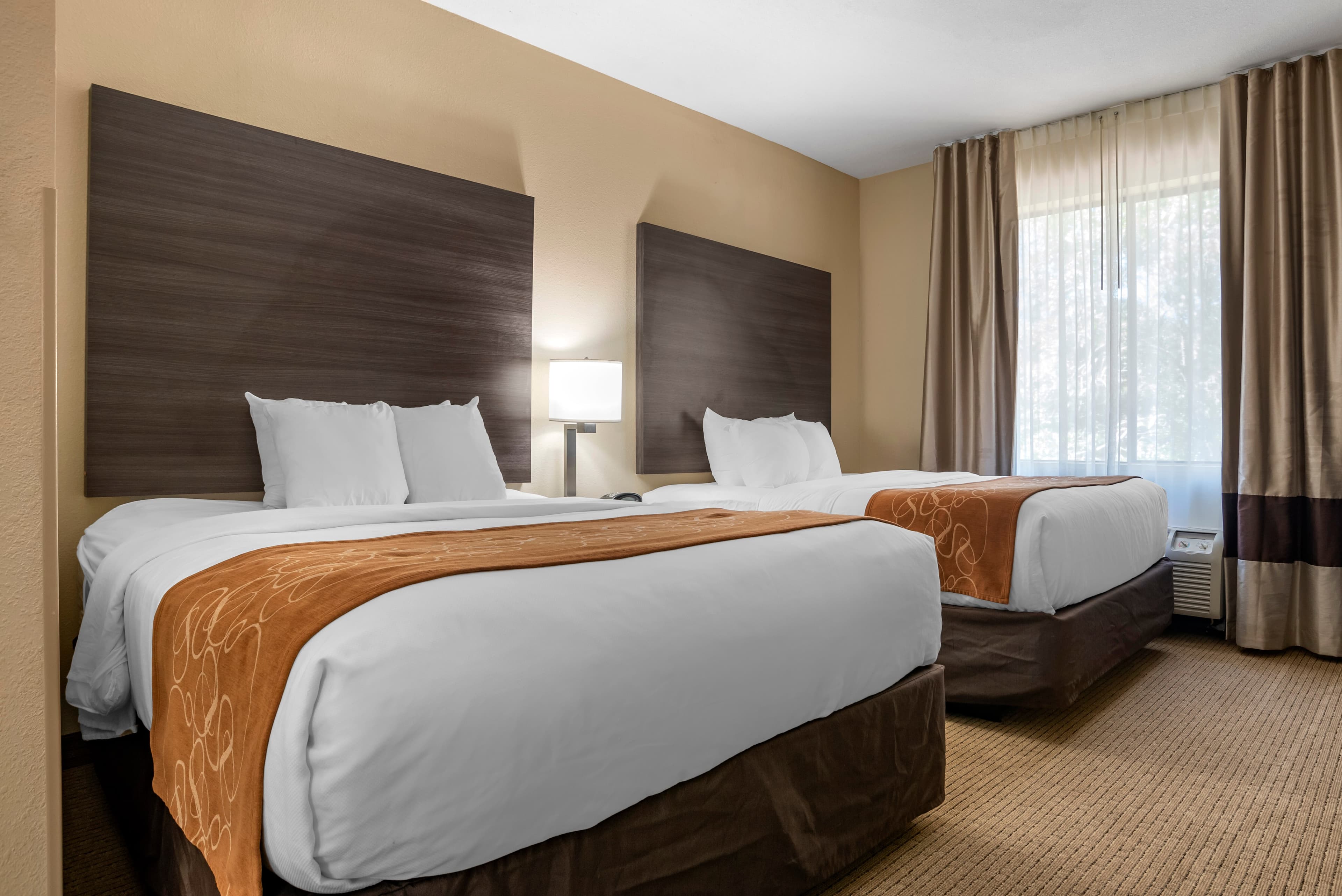 Comfort Suites Mobile West Tillmans Corner - Image 3