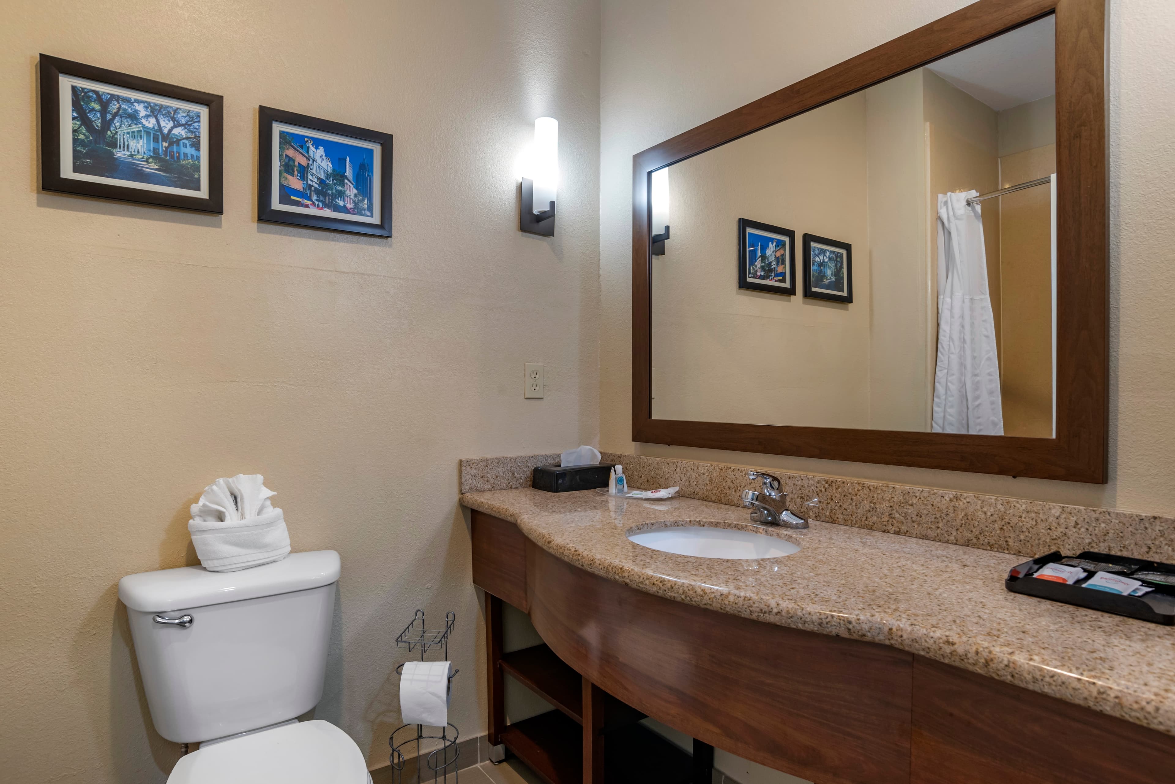 Comfort Suites Mobile West Tillmans Corner - Image 5