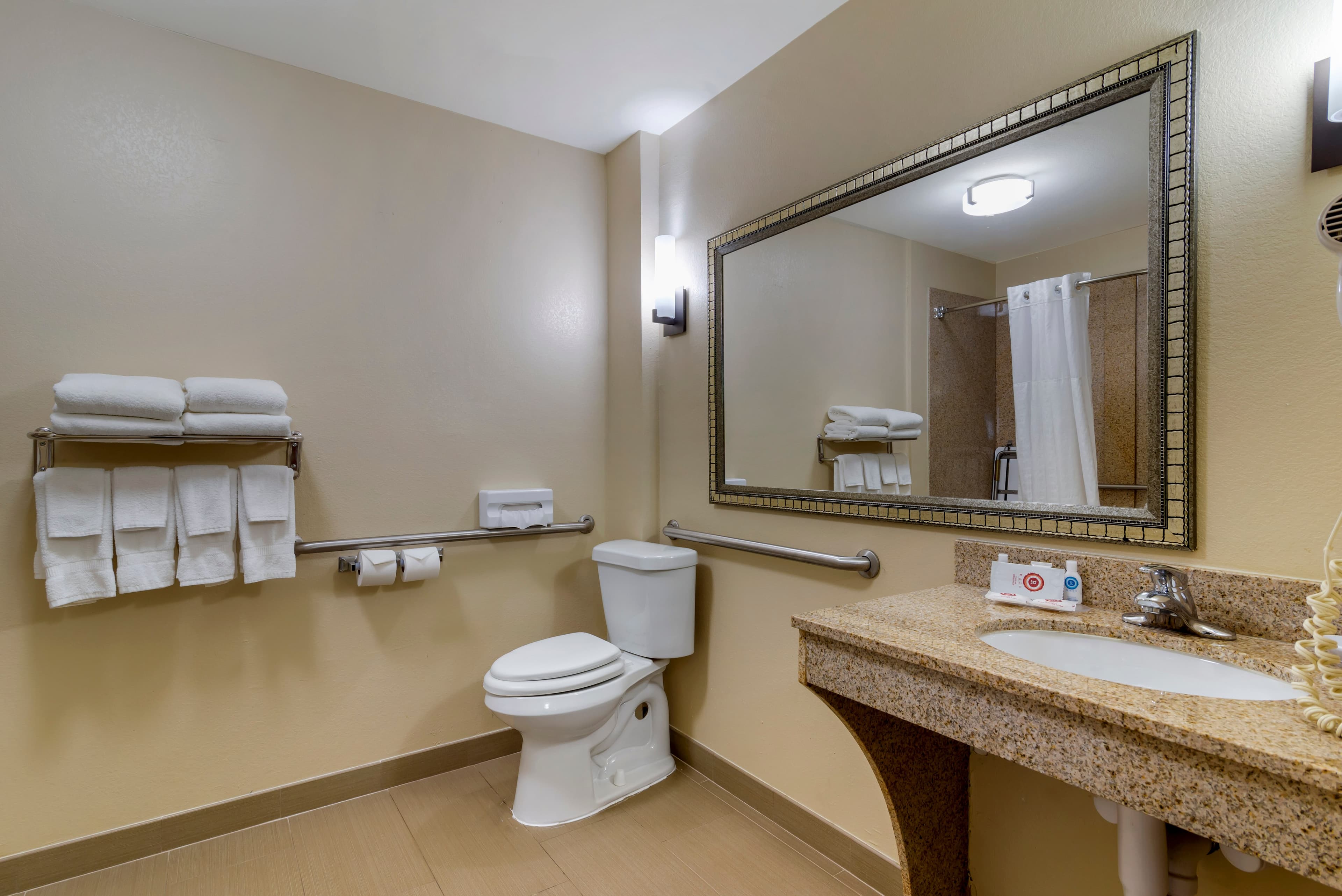 Comfort Inn & Suites Montgomery Eastchase - Image 2