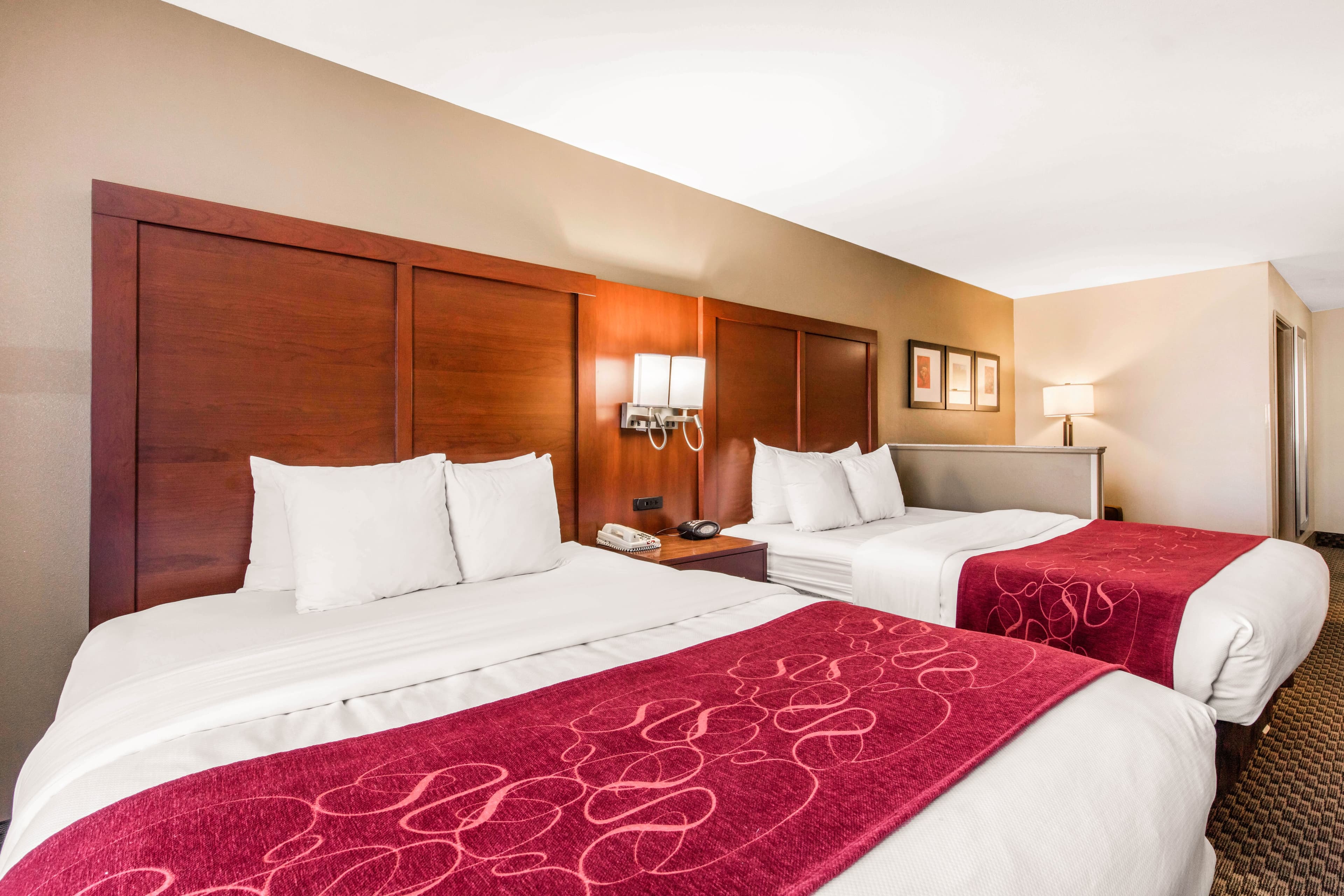 Comfort Suites Tuscaloosa near University - Image 4