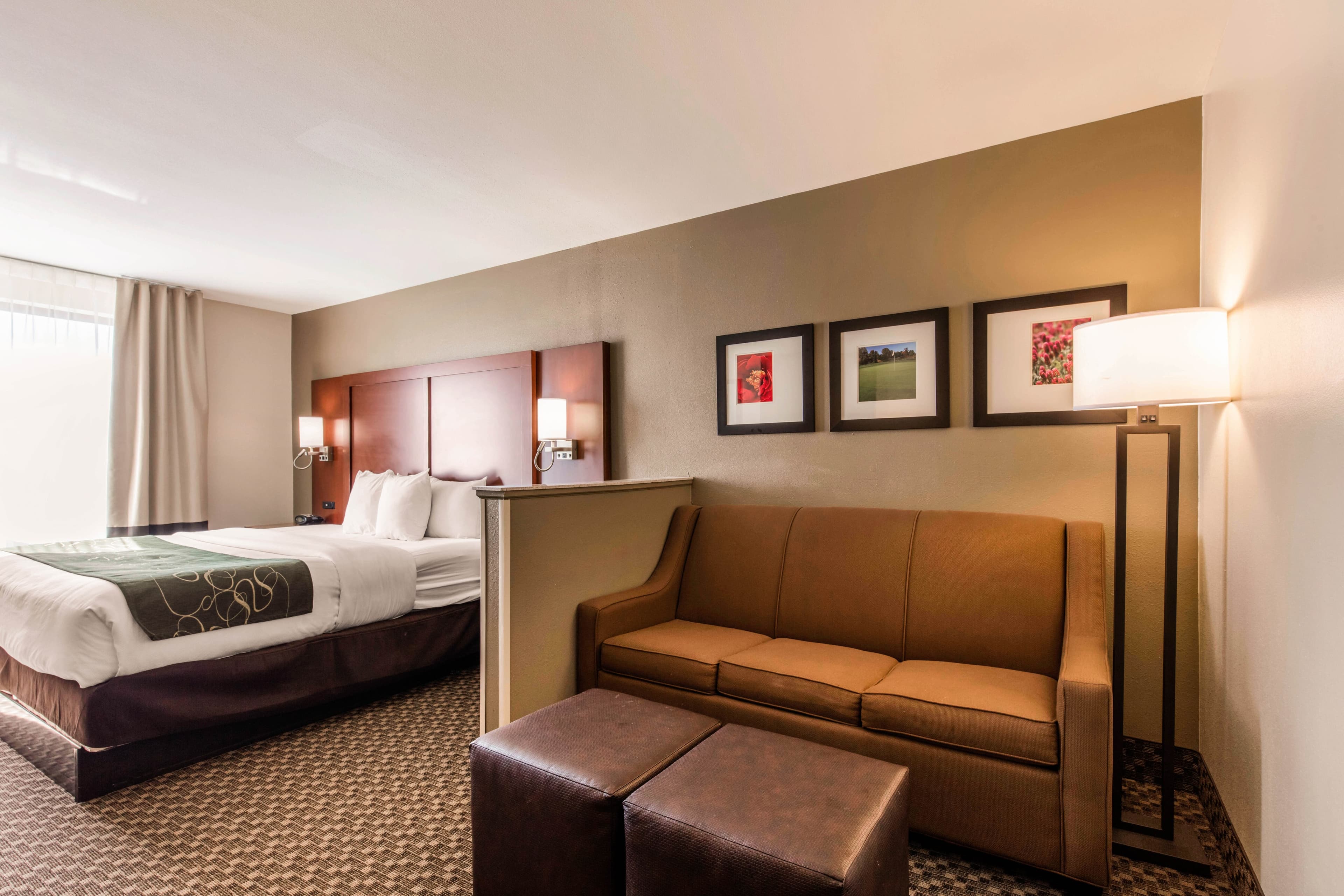 Comfort Suites Tuscaloosa near University — 9