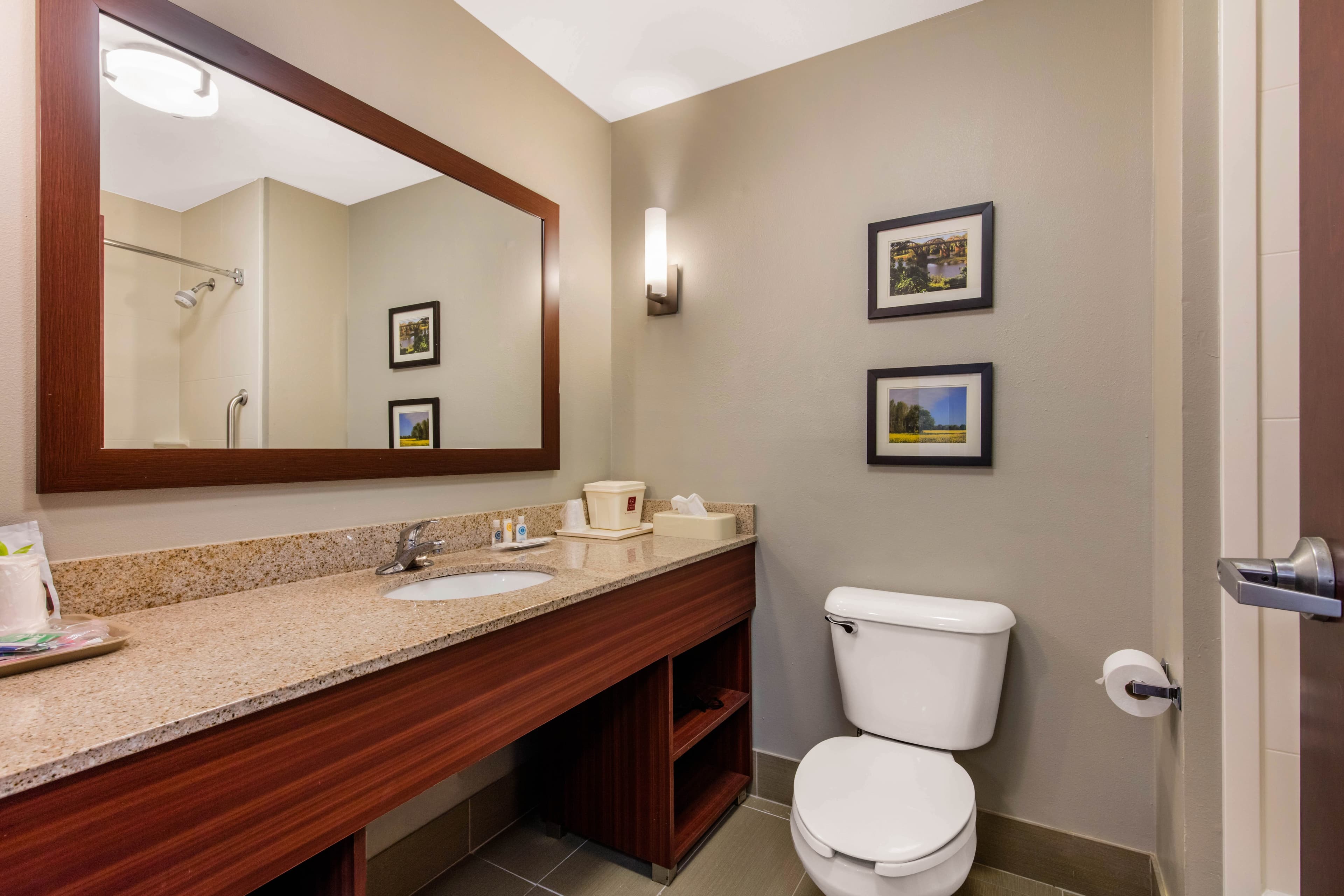 Comfort Suites Tuscaloosa near University — 10