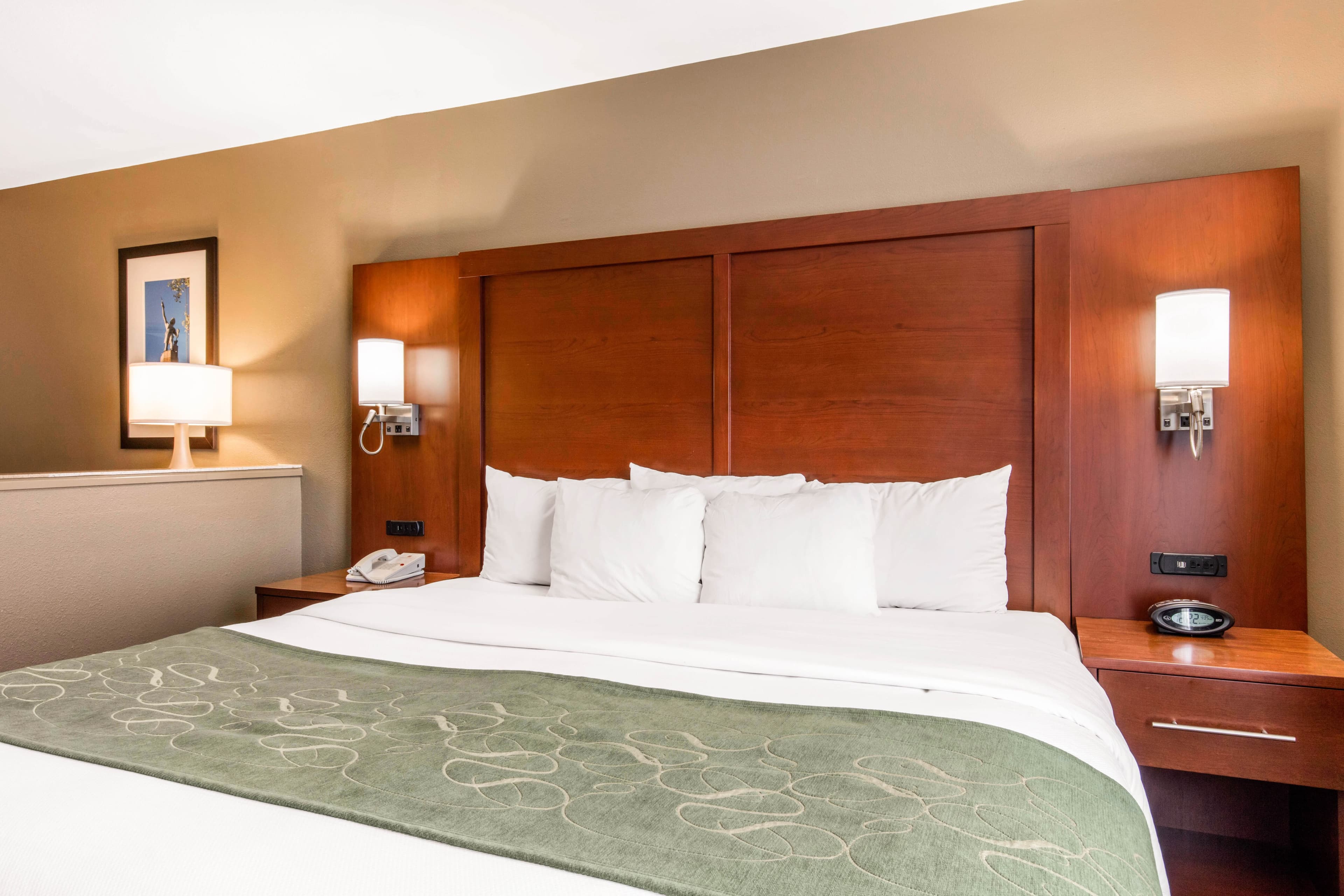 Comfort Suites Tuscaloosa near University — 7