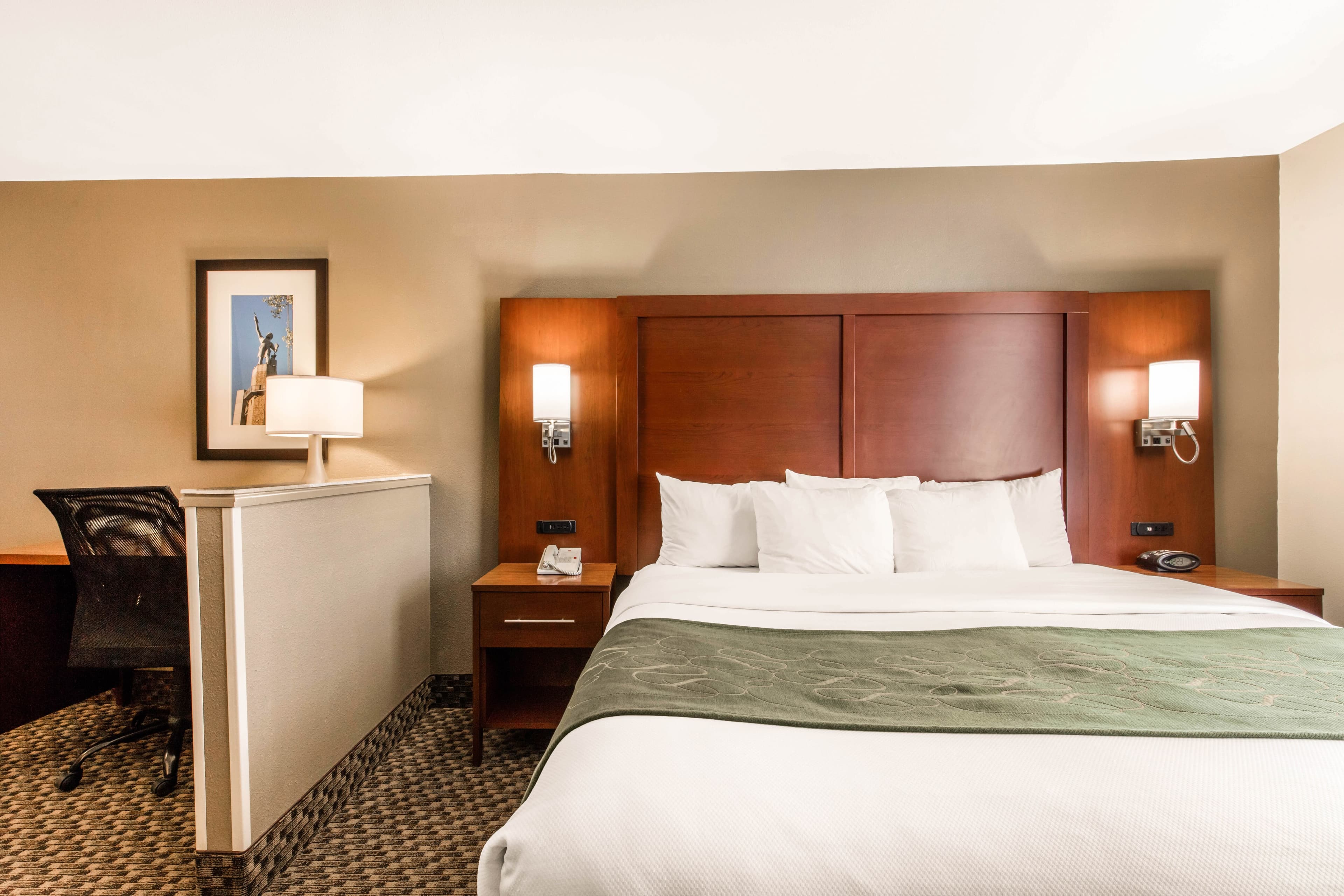 Comfort Suites Tuscaloosa near University — 8
