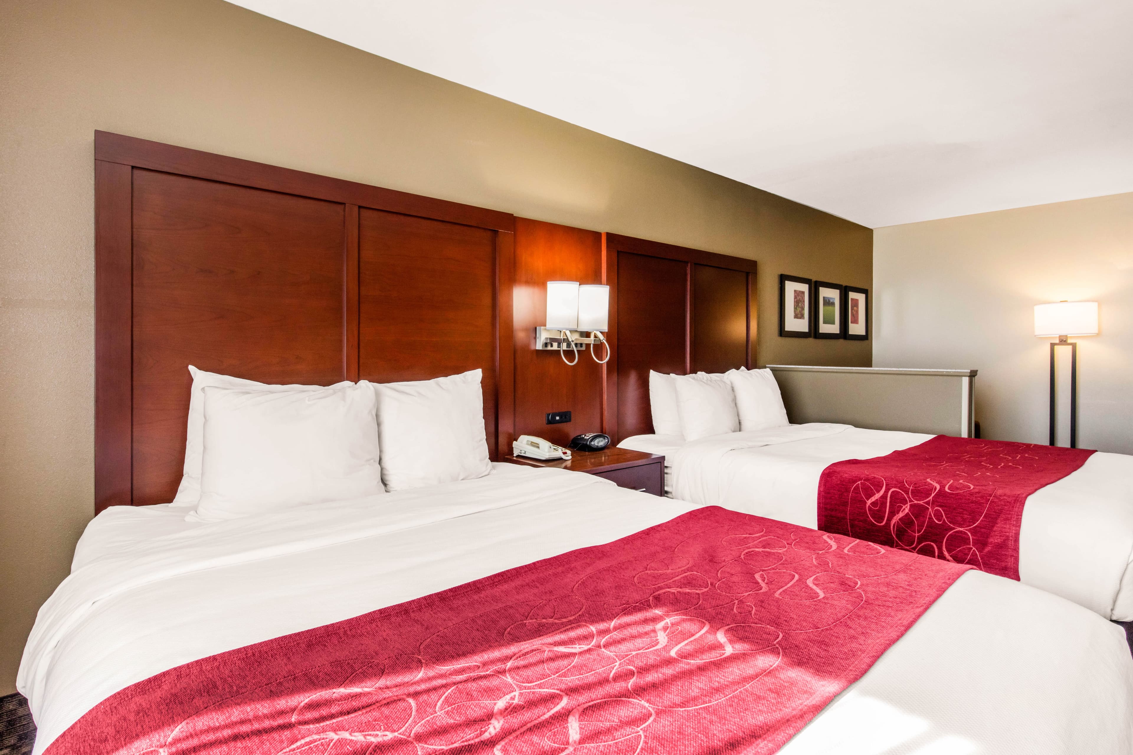 Comfort Suites Tuscaloosa near University — 13