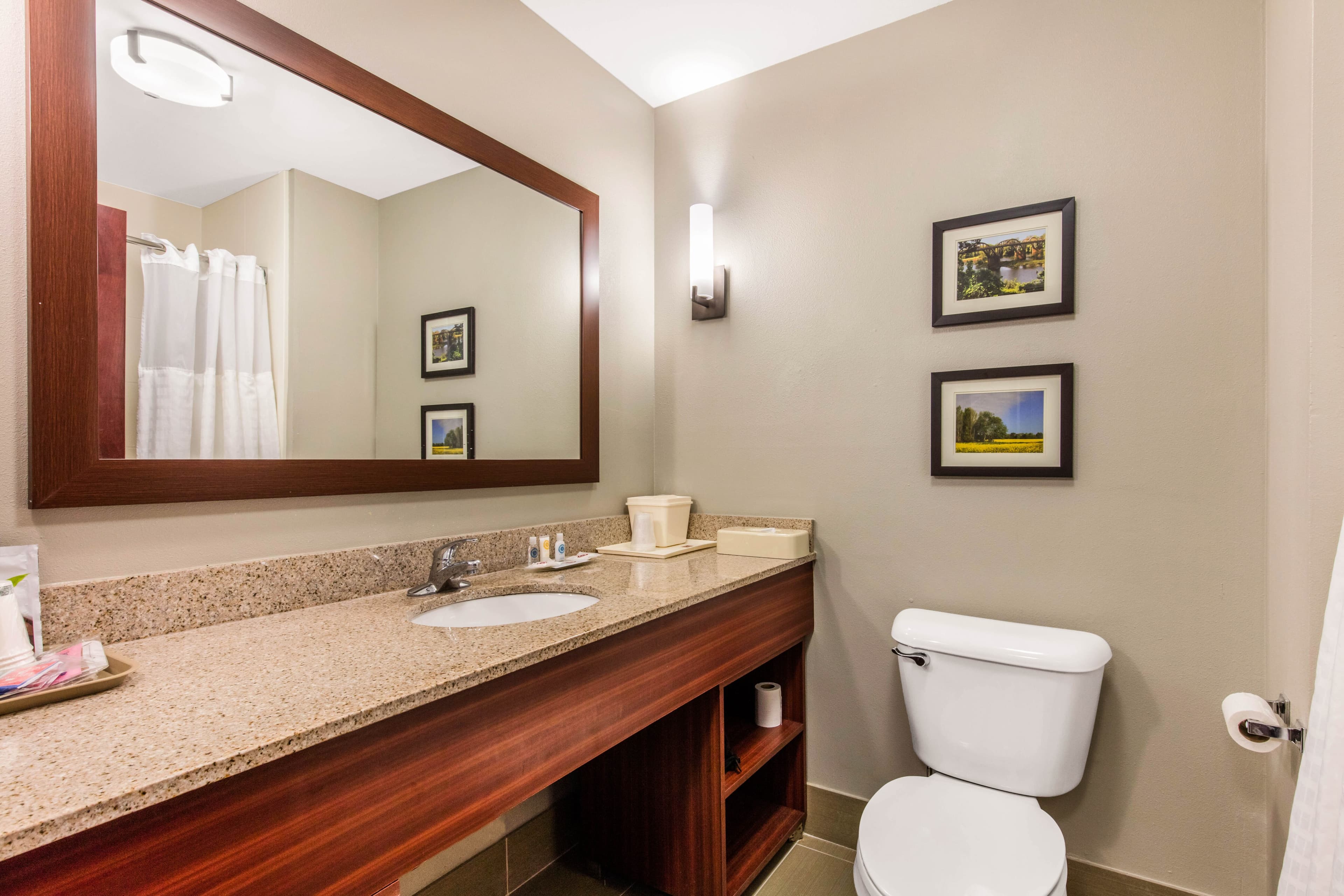 Comfort Suites Tuscaloosa near University — 15