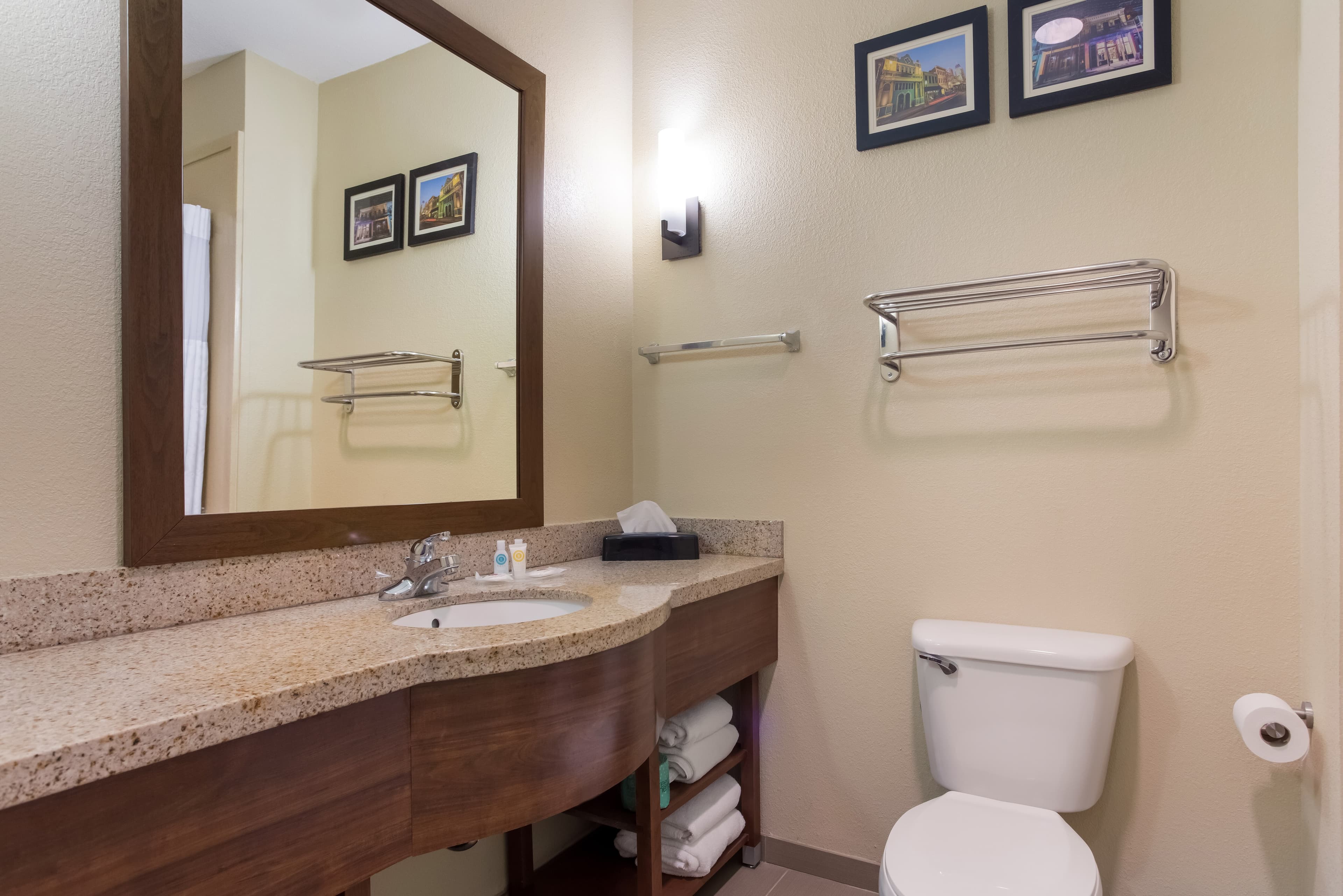 Comfort Suites Saraland - North Mobile — 9