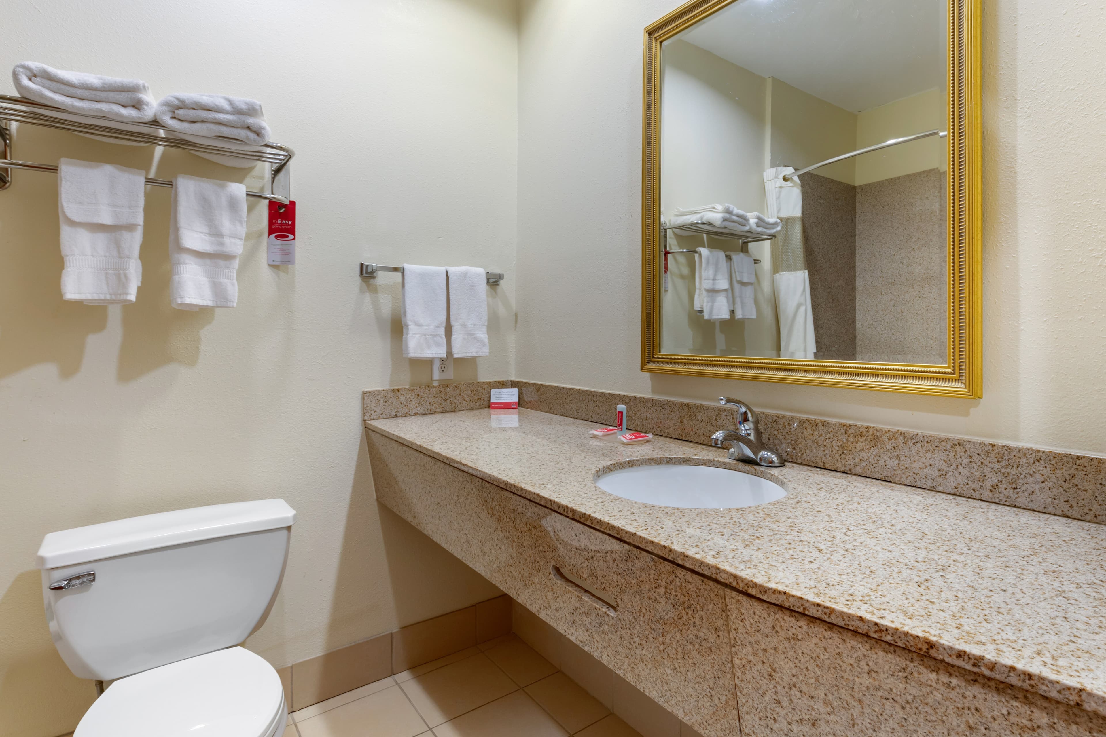 Econo Lodge Eutaw I-20 — 8