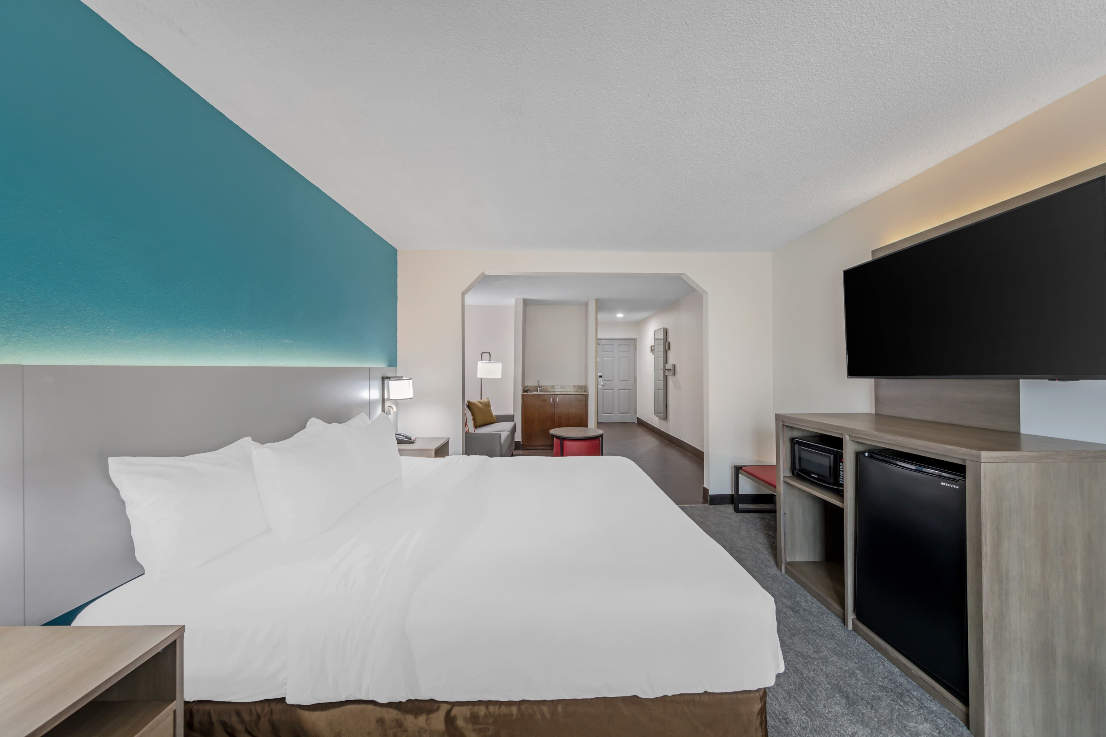 Comfort Inn US Hwy 80 — 18