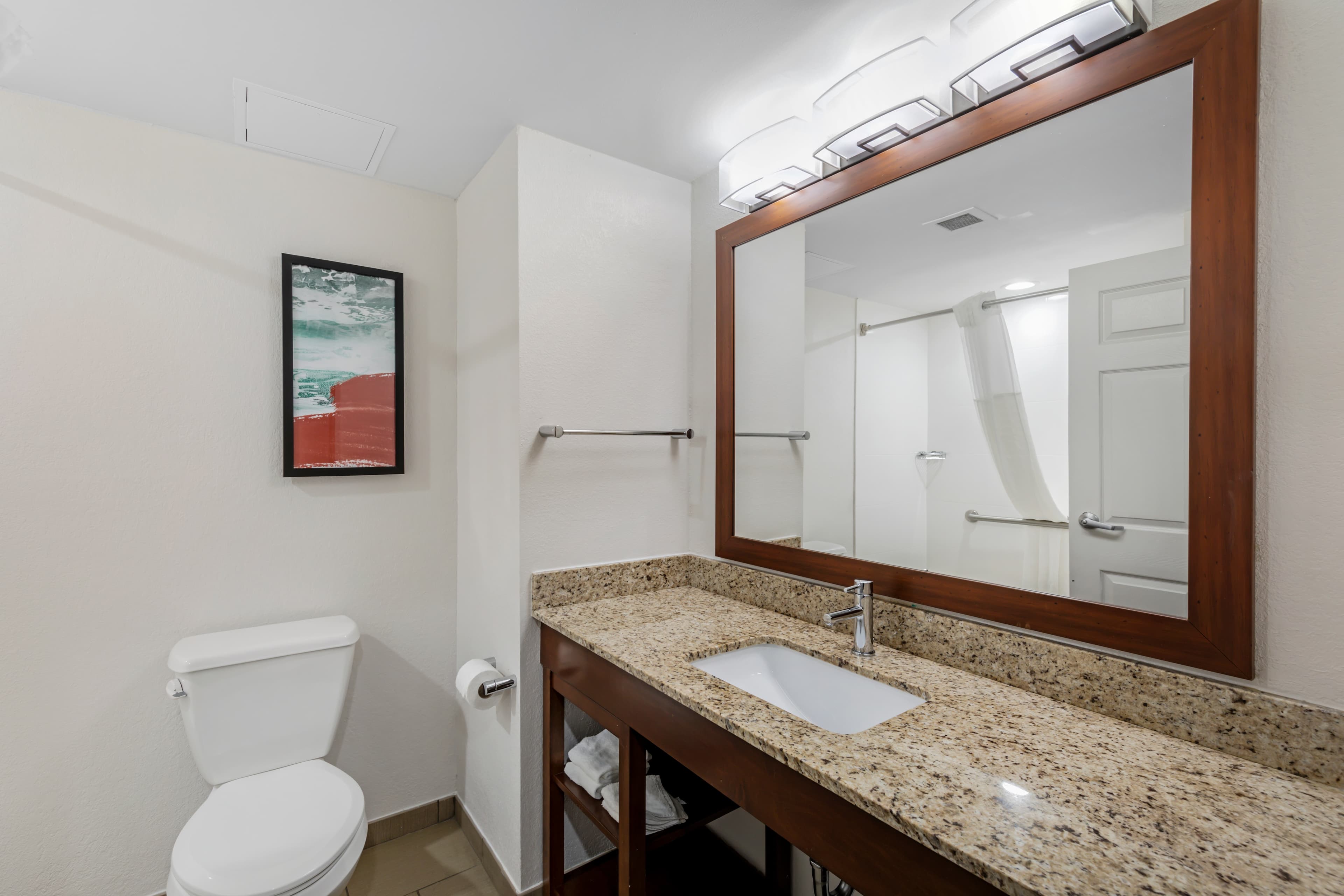 Comfort Inn US Hwy 80 — 21