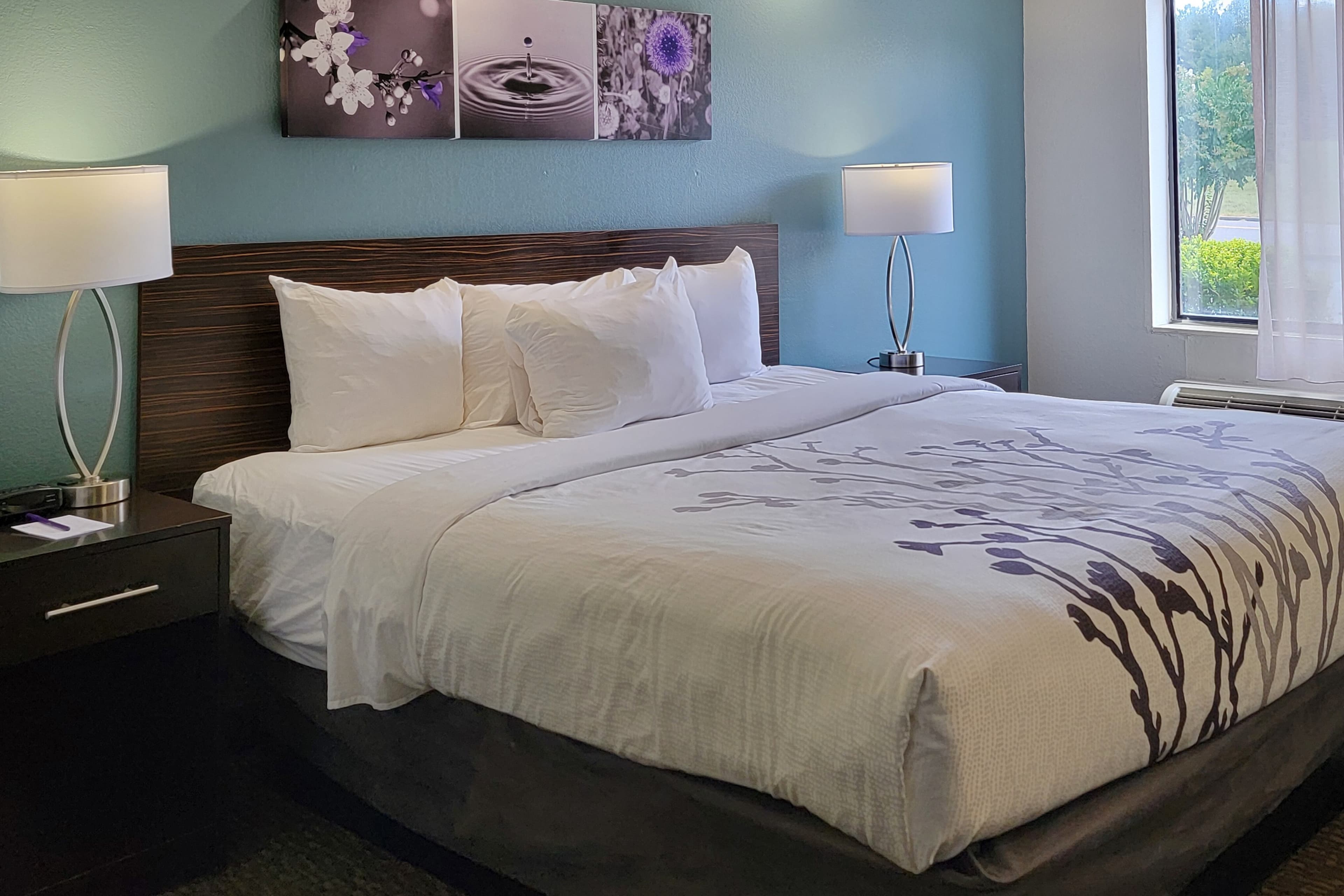 Sleep Inn Bessemer Helena - Image 3