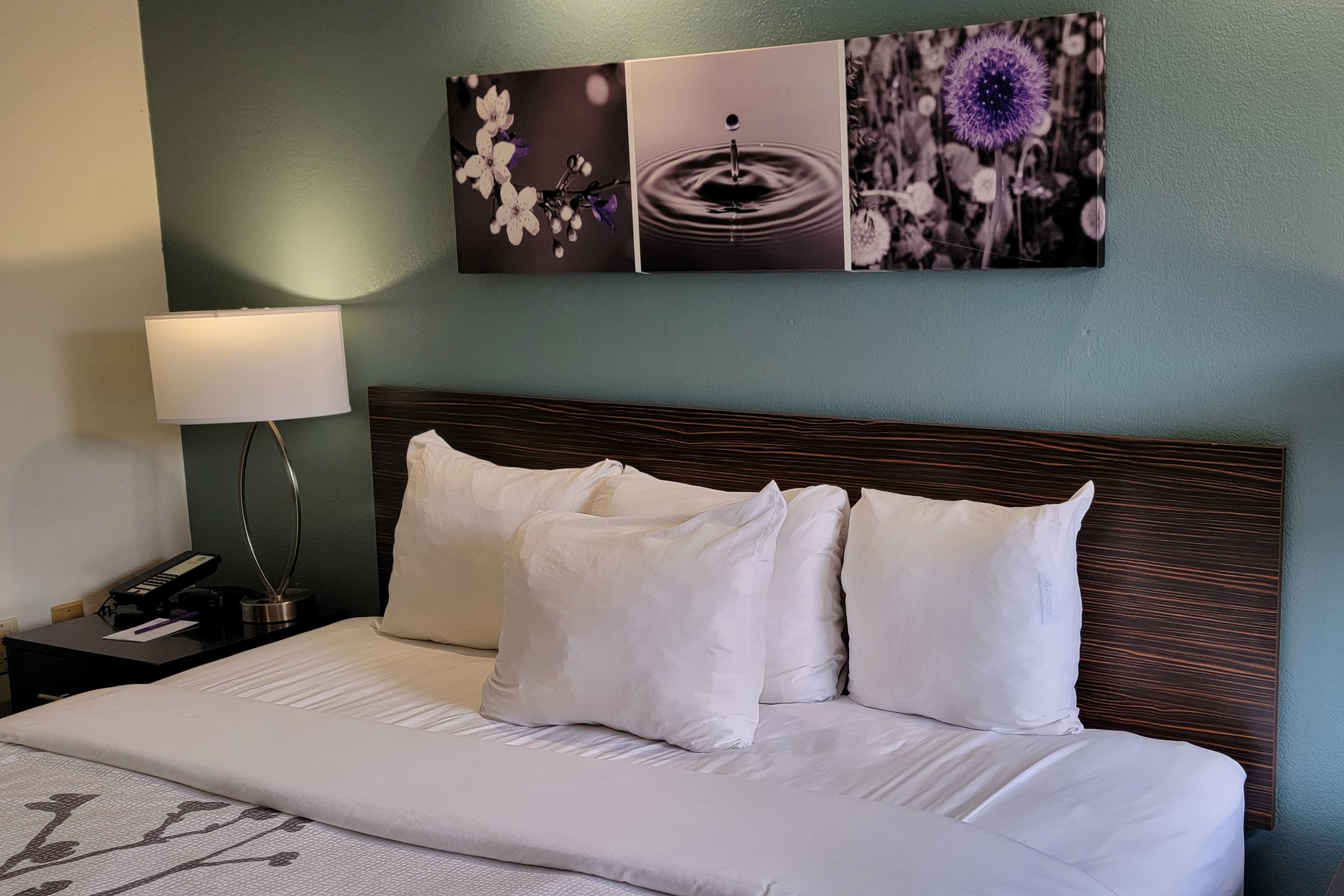 Sleep Inn Bessemer Helena - Image 4
