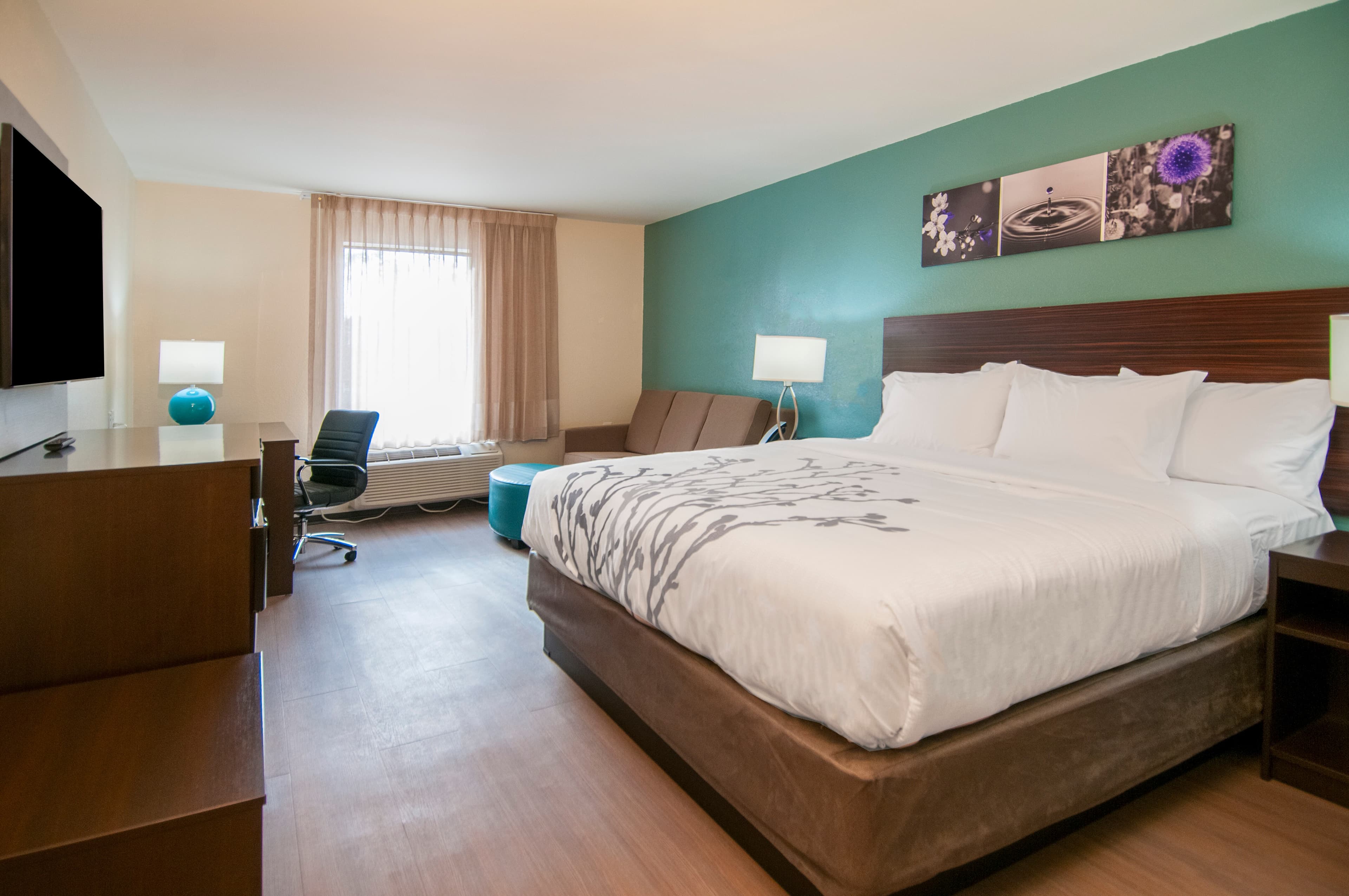Sleep Inn & Suites Tuscaloosa East — 2
