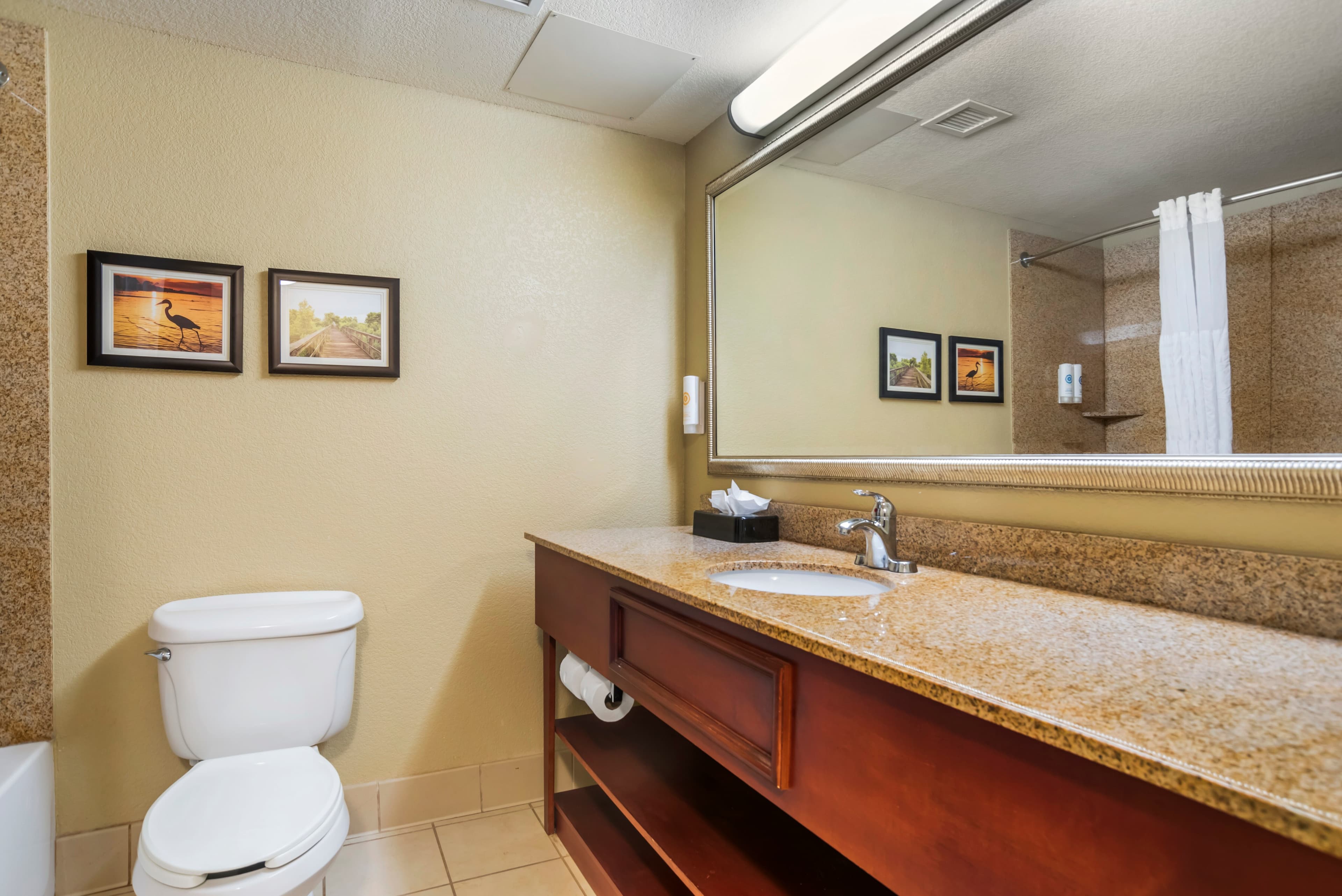 Comfort Inn & Suites Daphne Spanish Fort - Mobile East — 16