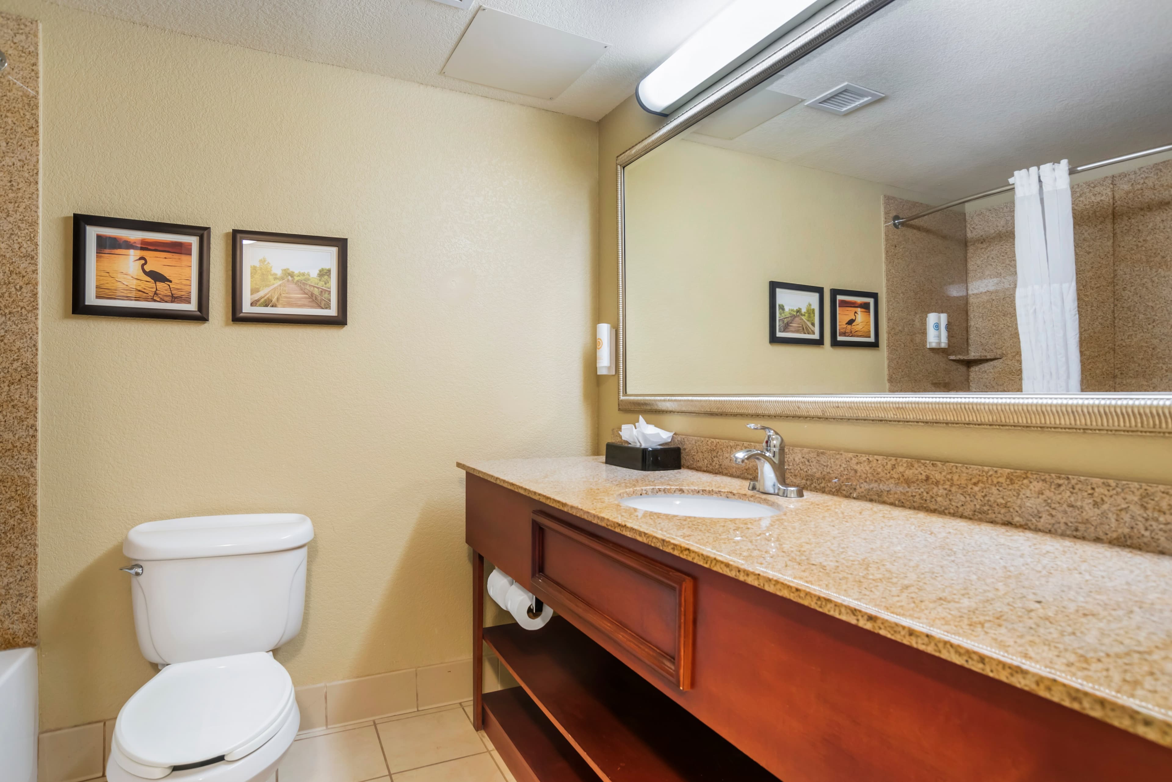 Comfort Inn & Suites Daphne Spanish Fort - Mobile East — 20