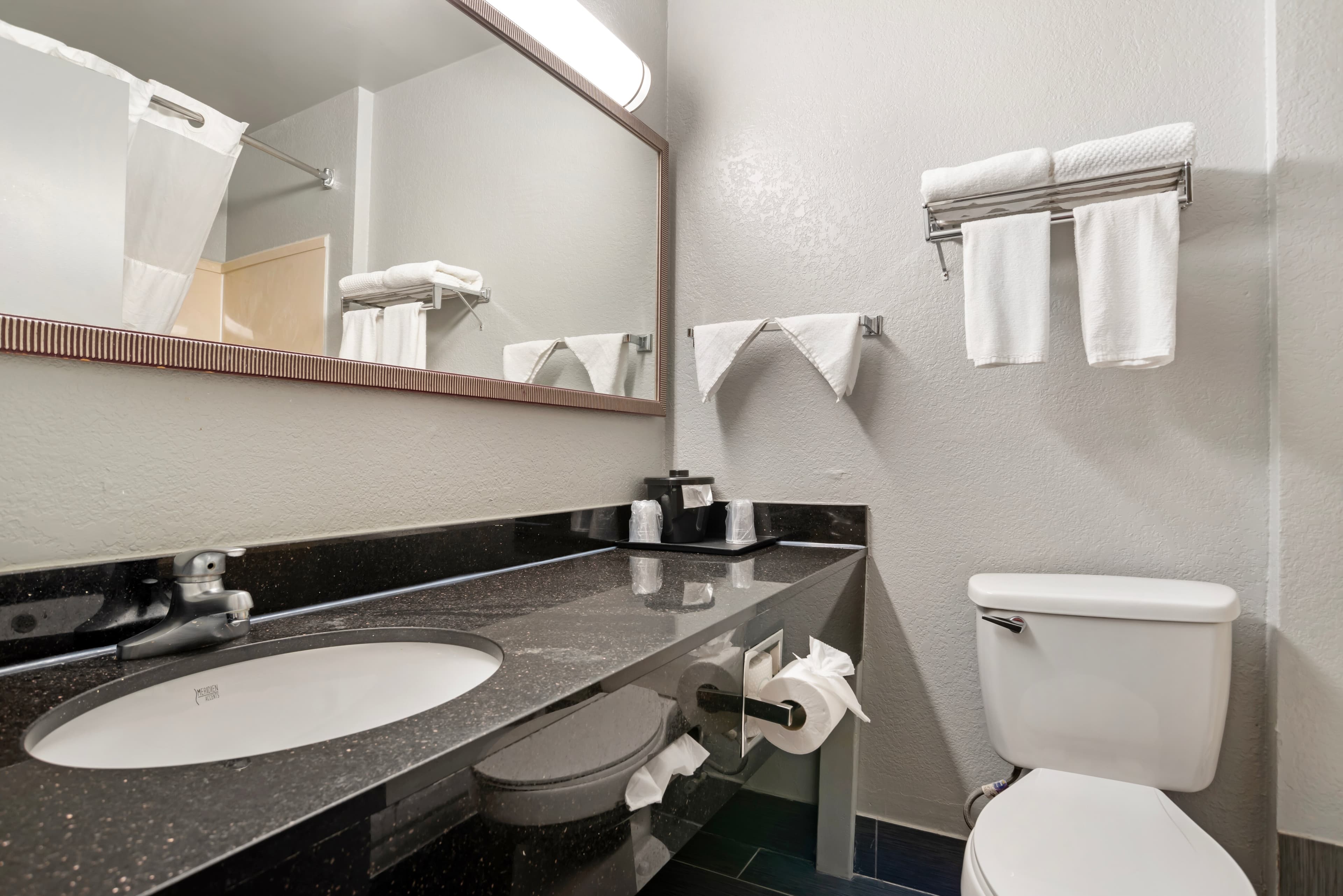 Quality Inn & Suites Birmingham - Highway 280 — 6