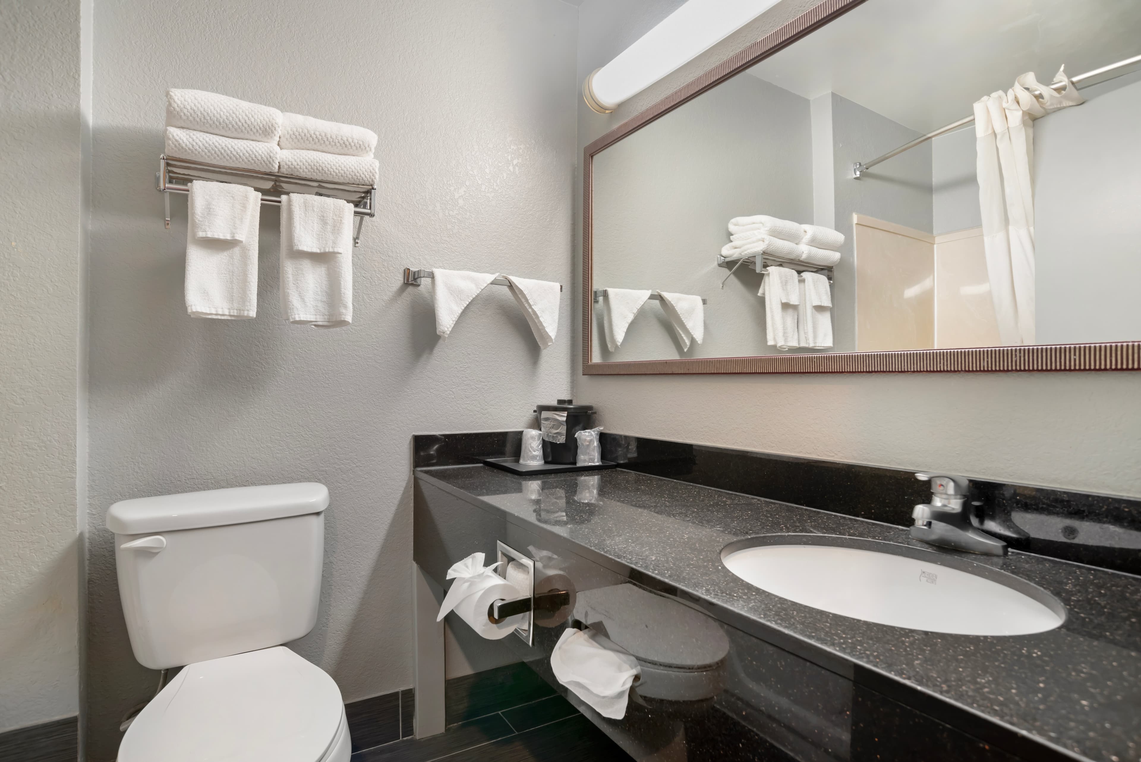 Quality Inn & Suites Birmingham - Highway 280 — 14