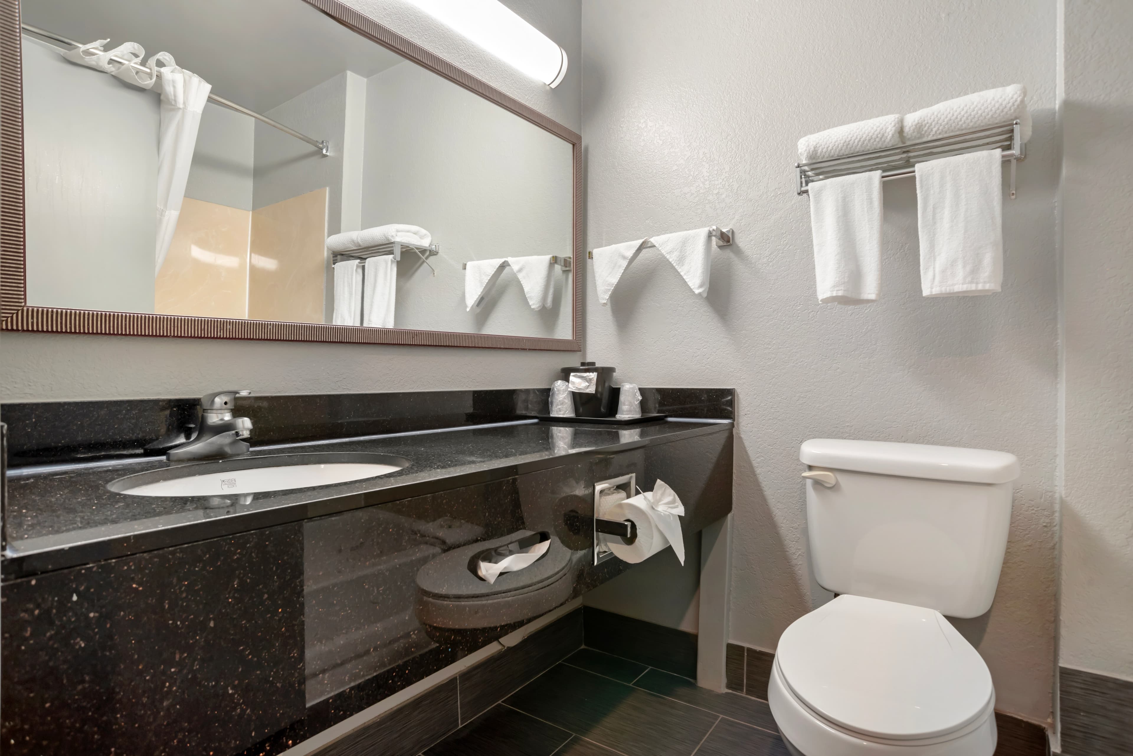 Quality Inn & Suites Birmingham - Highway 280 — 22