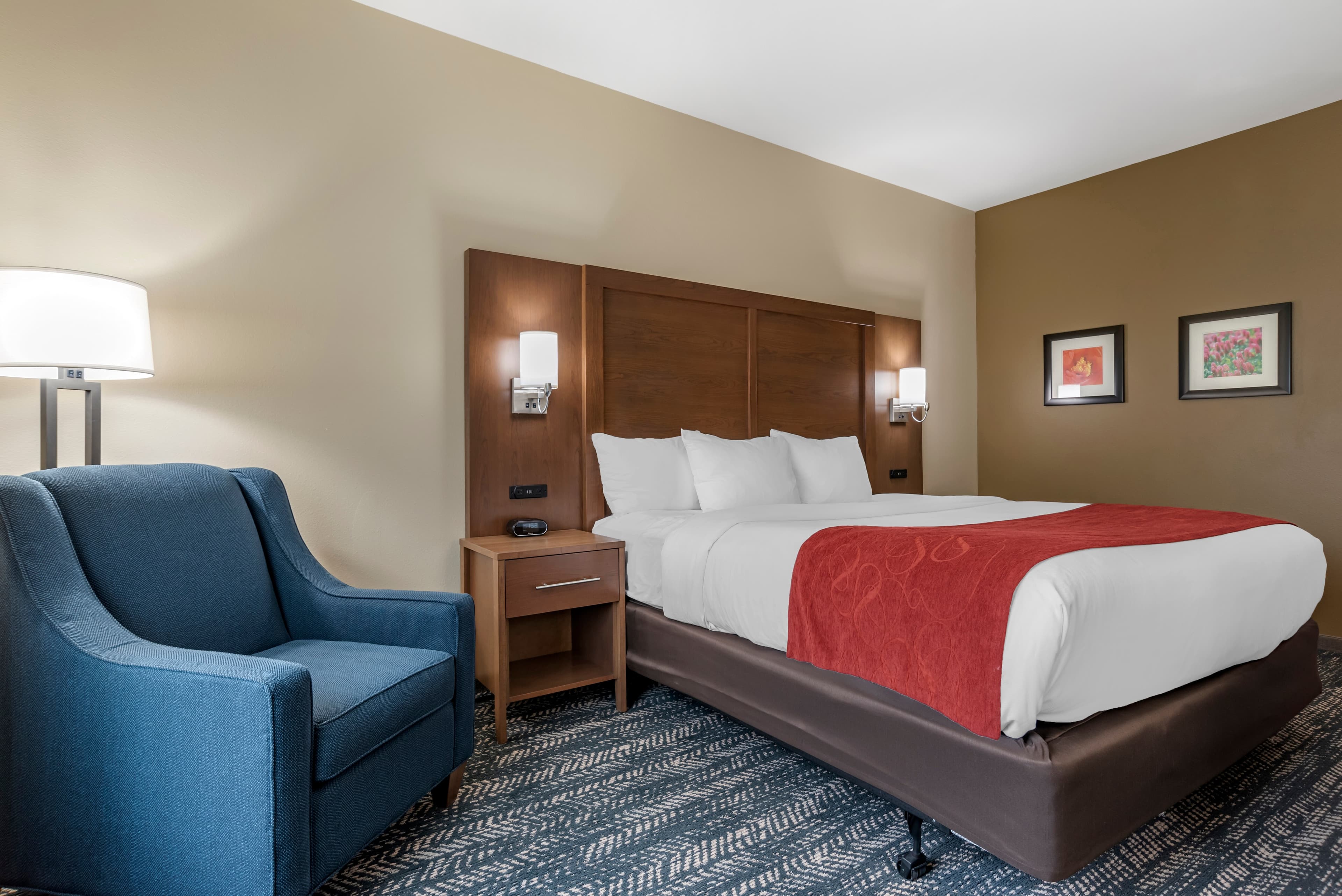Comfort Inn & Suites Downtown near University - Image 2