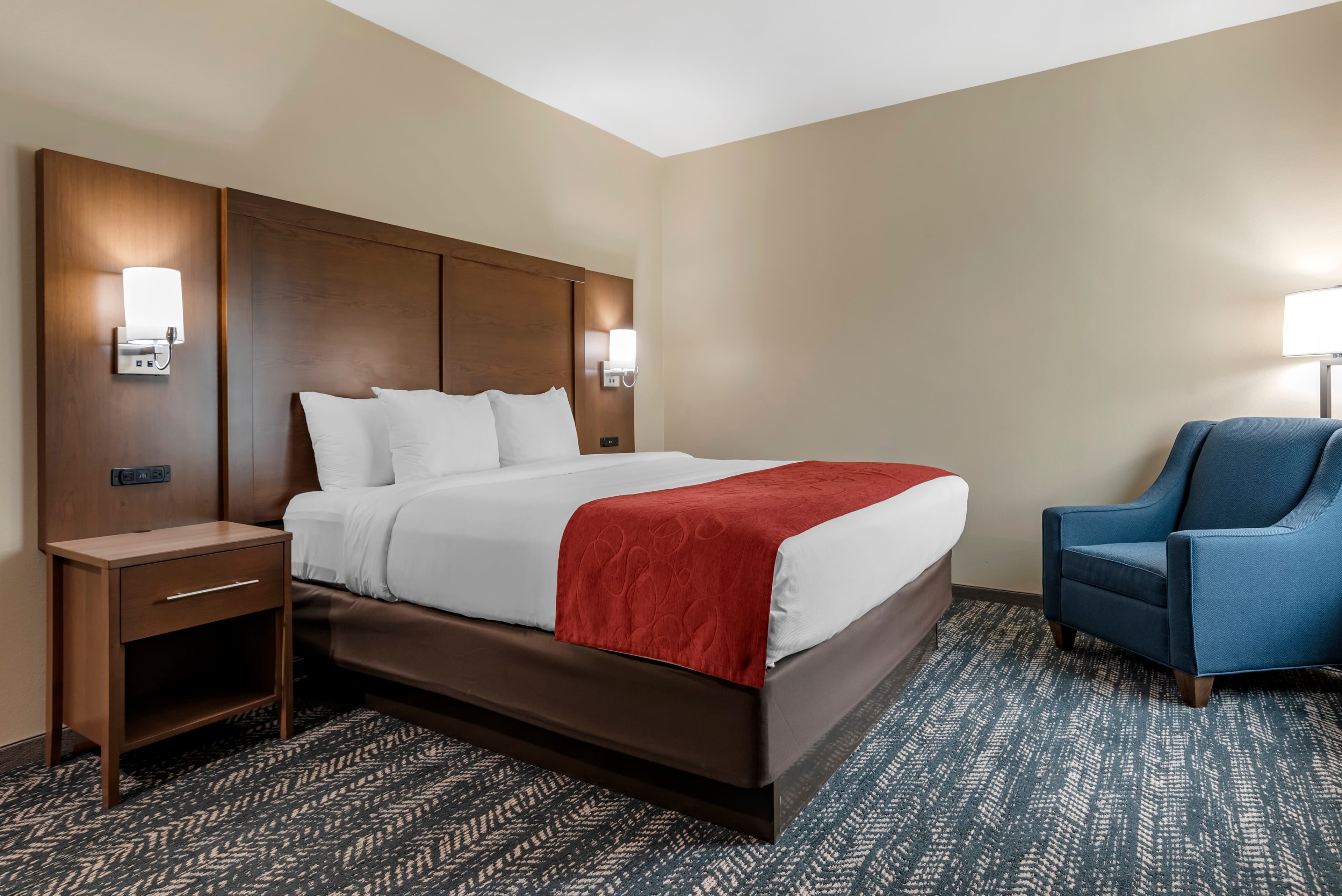 Comfort Inn & Suites Downtown near University — 22