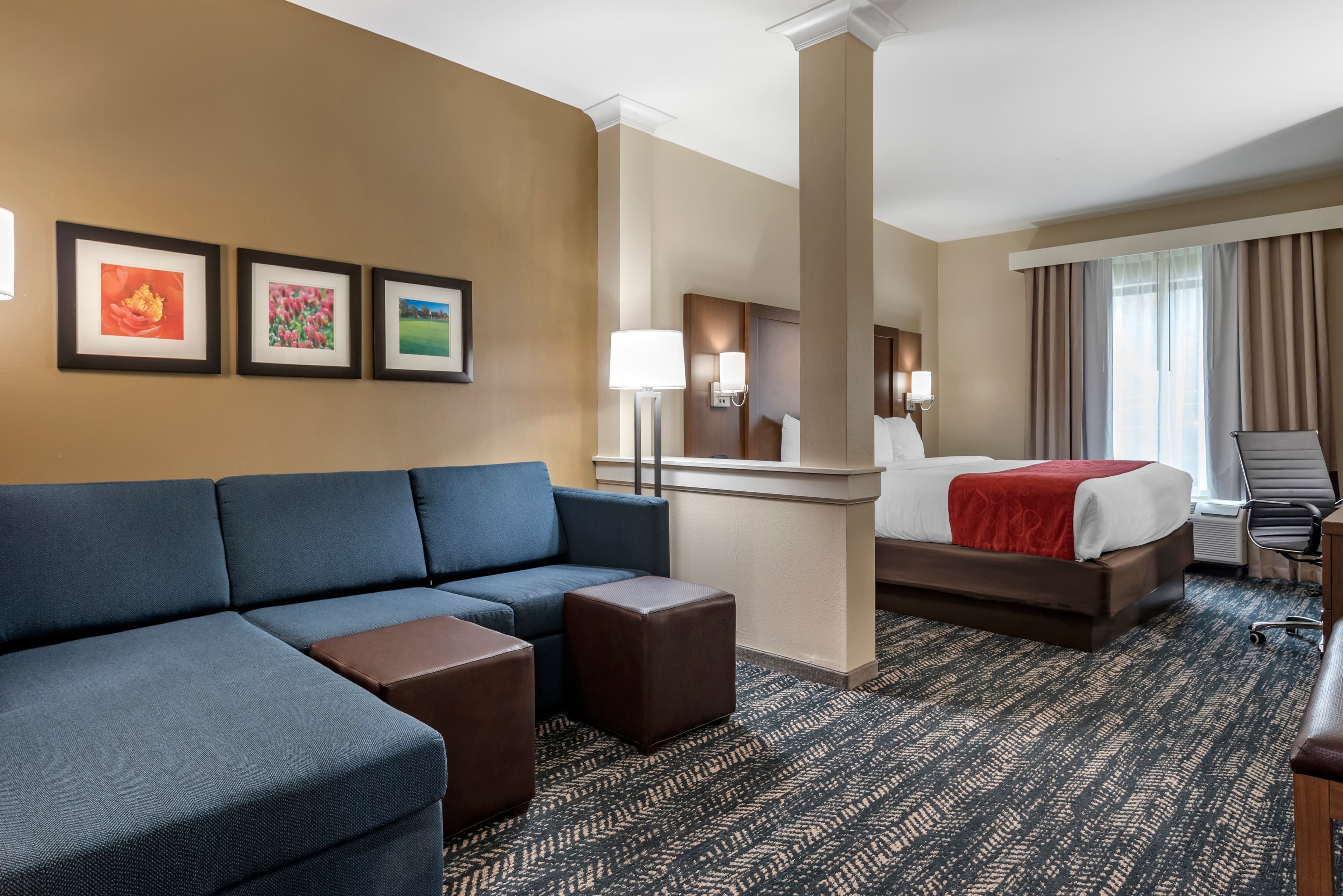 Comfort Inn & Suites Downtown near University — 32