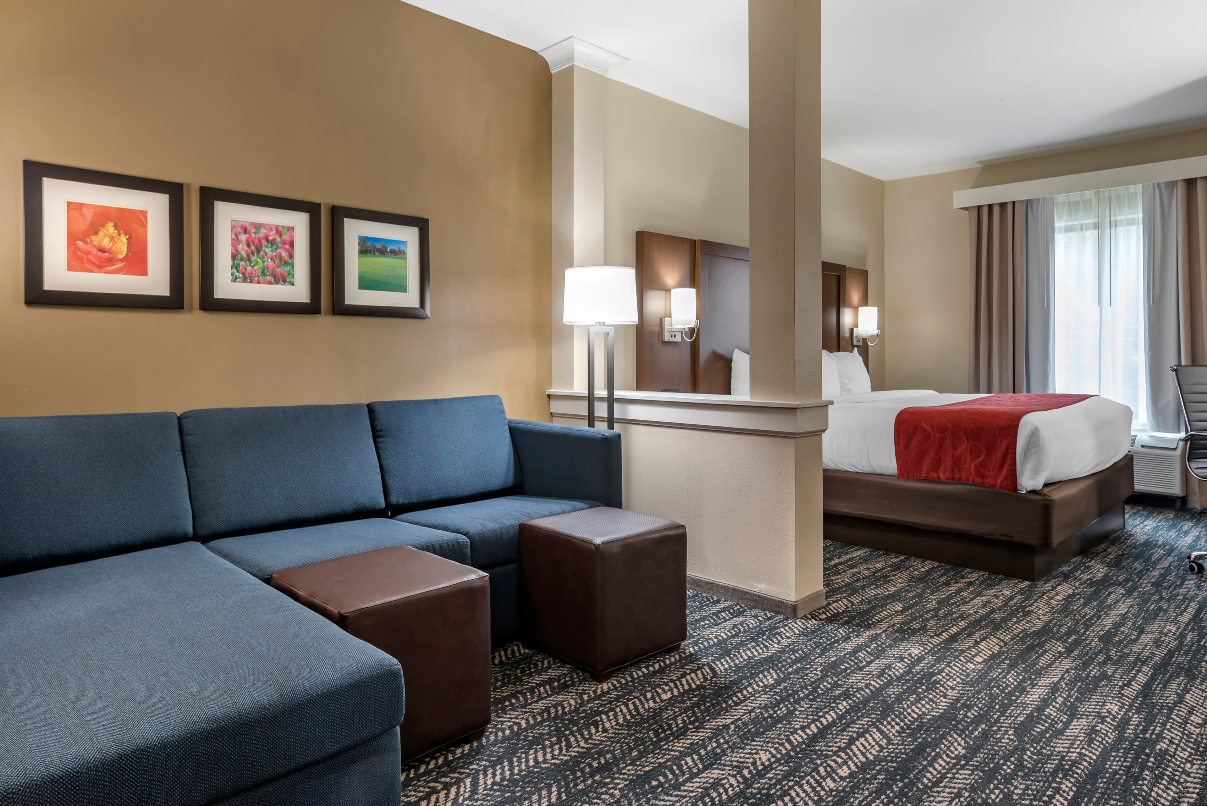 Comfort Inn & Suites Downtown near University — 34