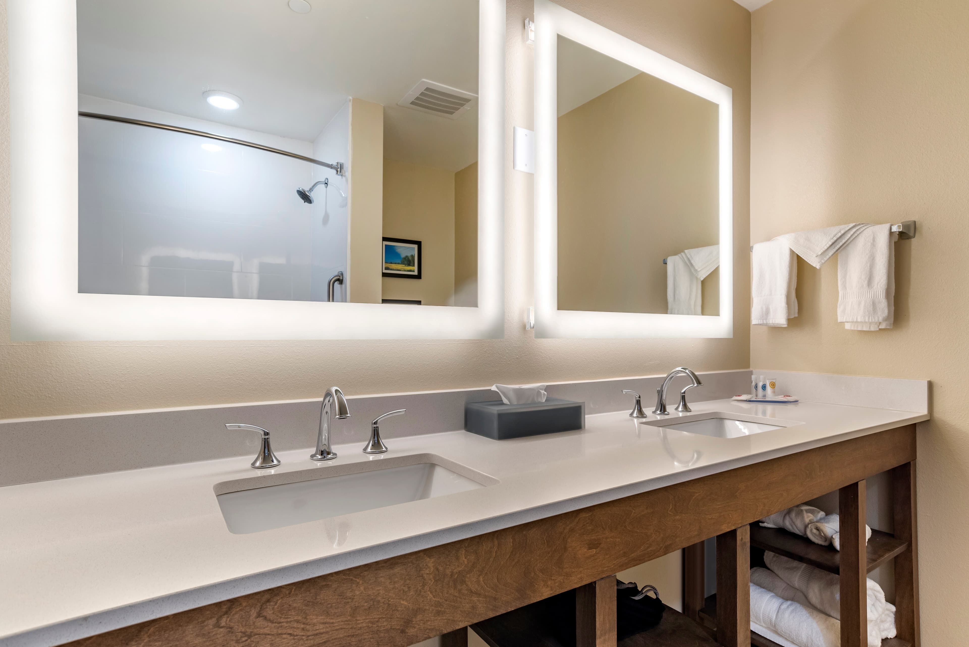 Comfort Inn & Suites Downtown near University — 44