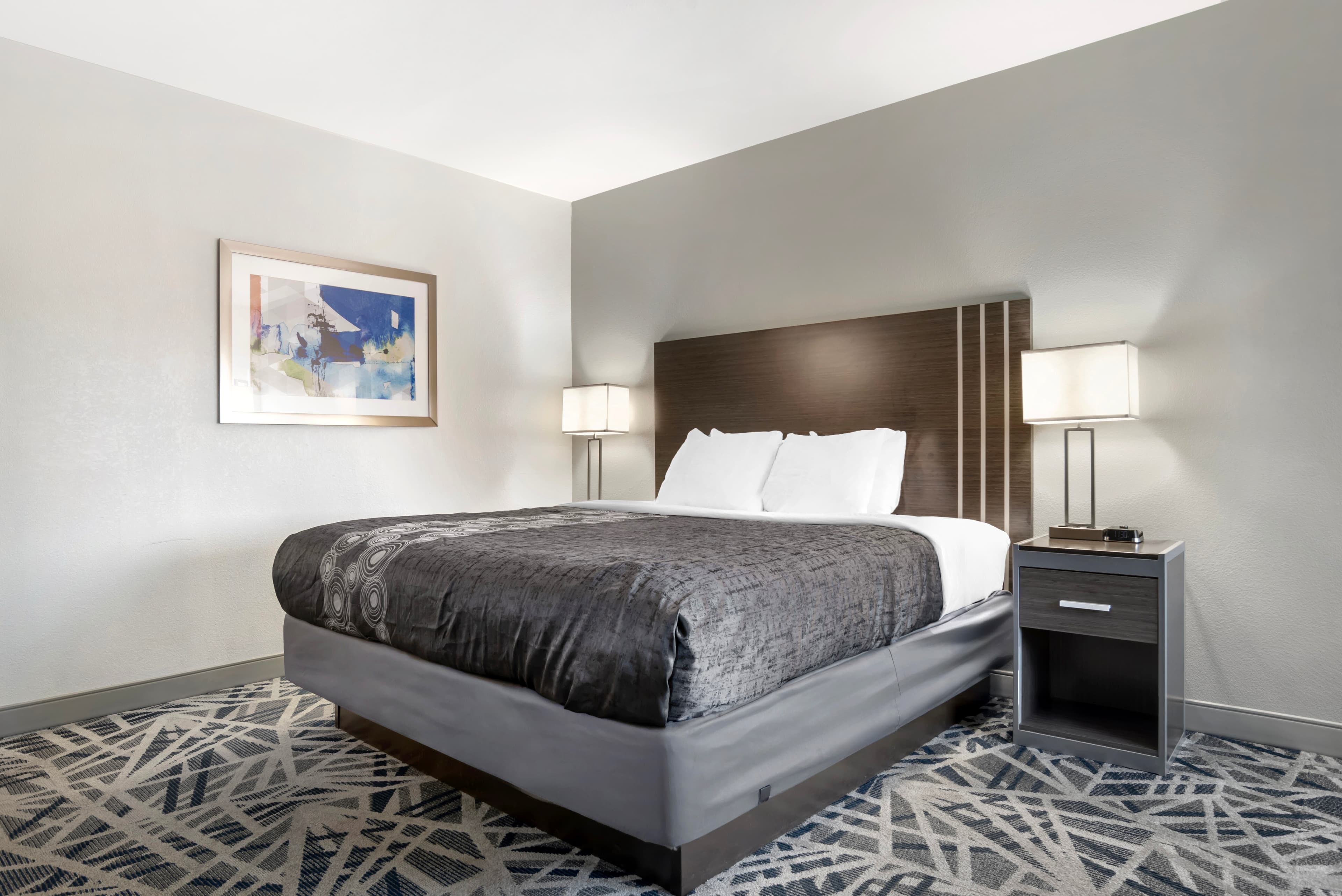 Country Inn & Suites by Radisson, Montgomery East I-85 — 29