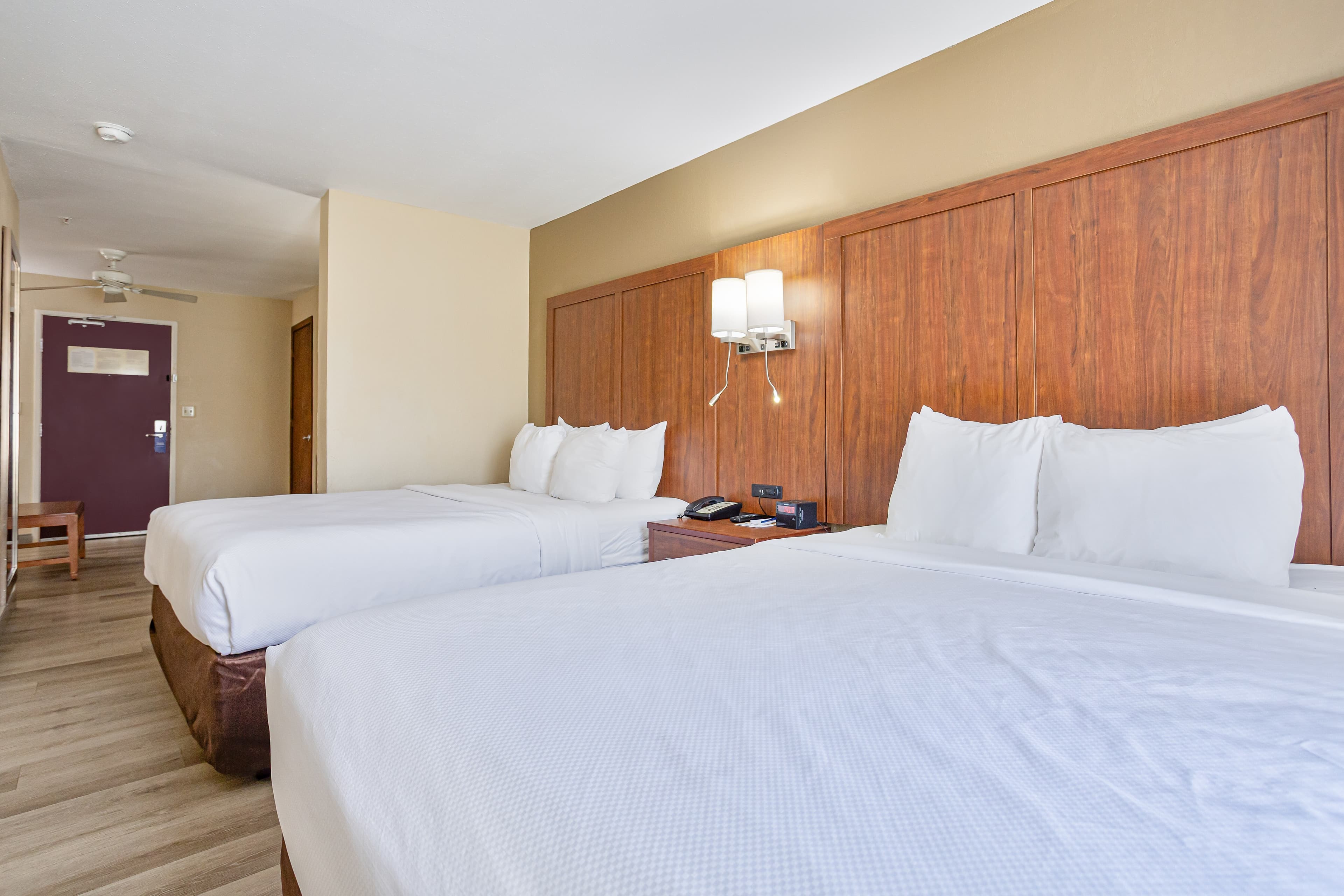 Comfort Inn & Suites Montgomery East Carmichael Rd - Image 3