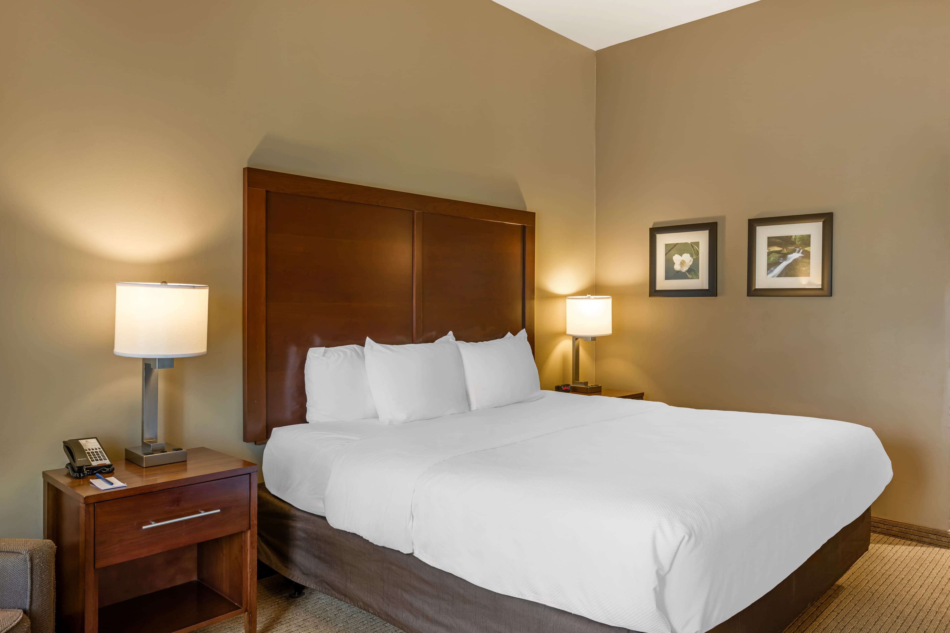 Comfort Inn & Suites At CrossPlex Village - Image 3