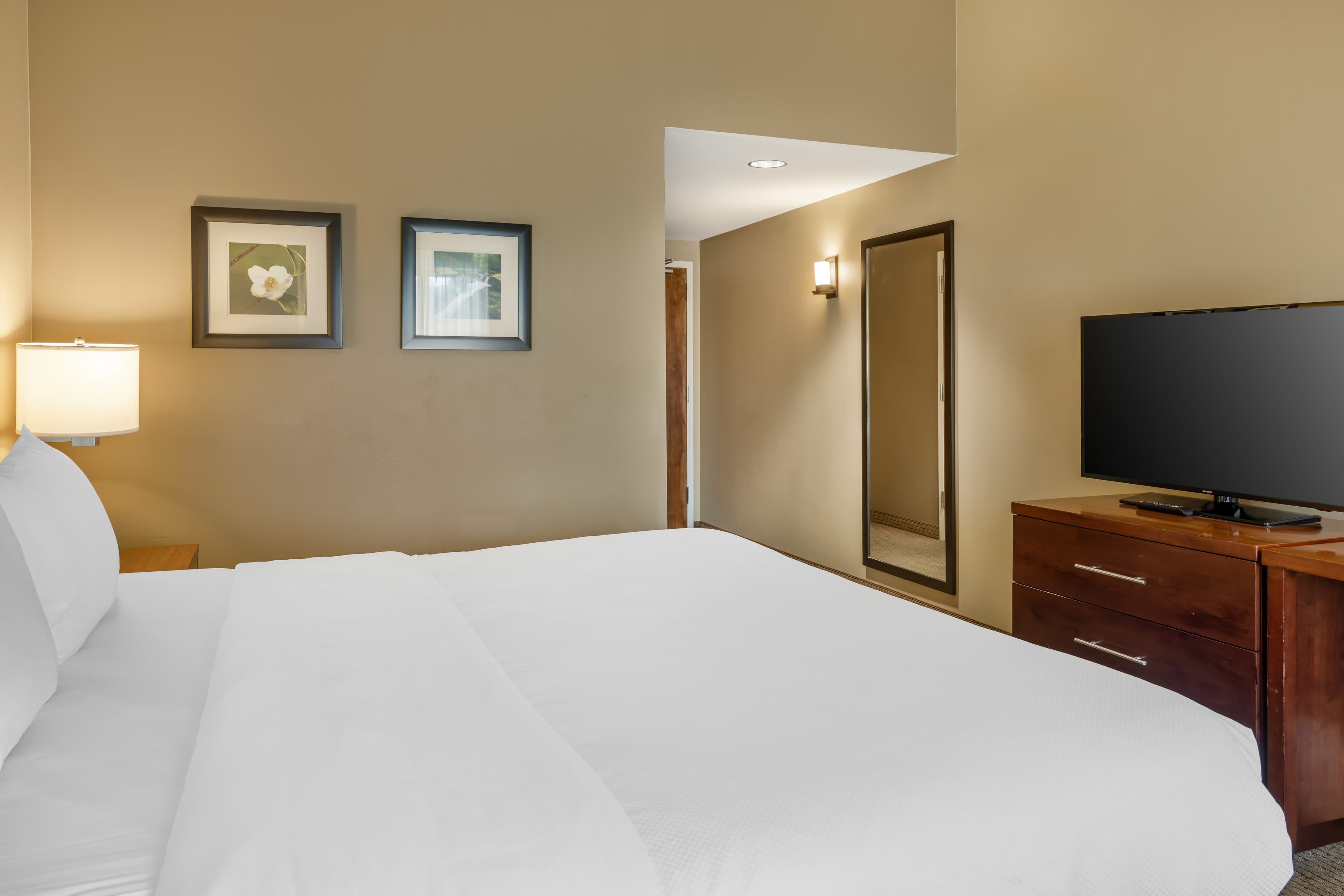 Comfort Inn & Suites At CrossPlex Village - Image 4