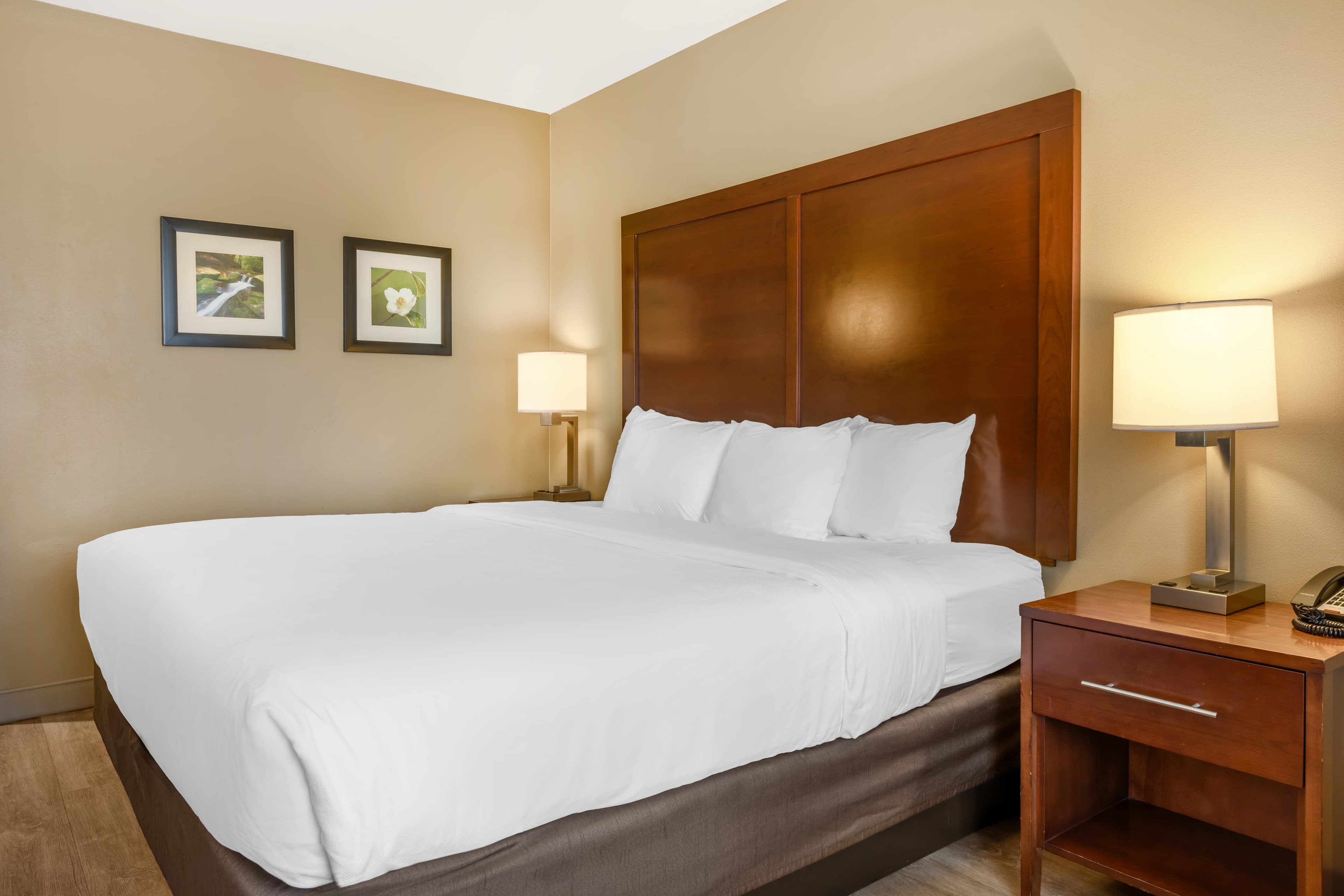 Comfort Inn & Suites At CrossPlex Village — 19