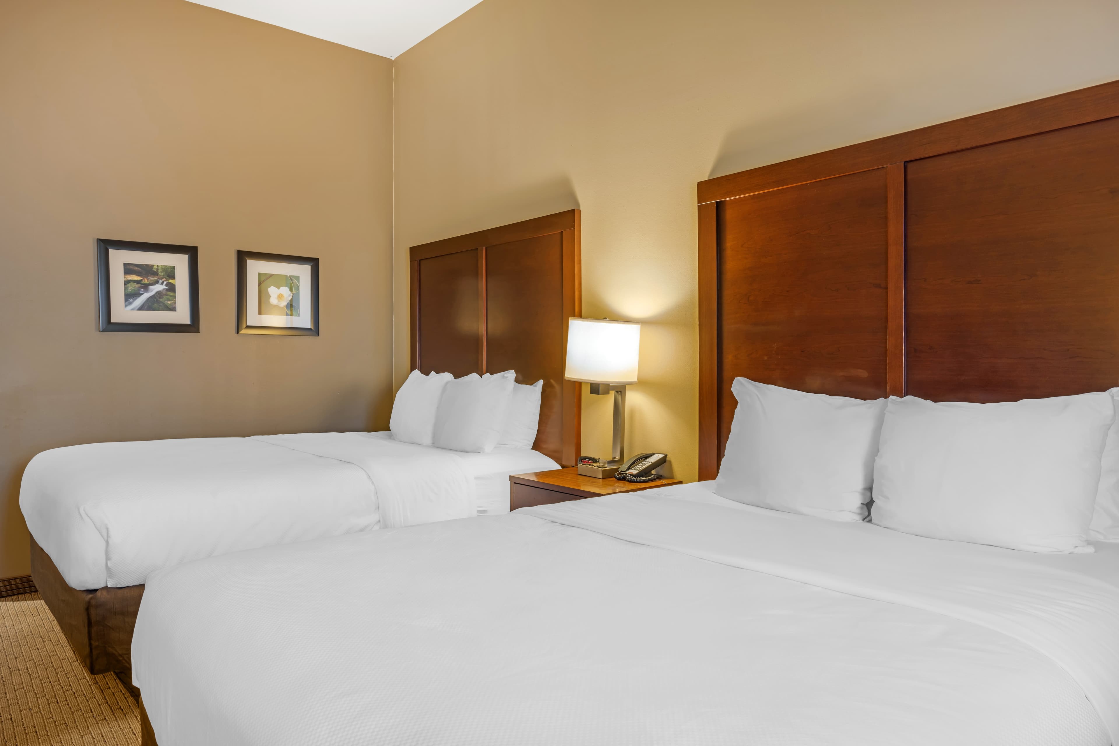Comfort Inn & Suites At CrossPlex Village — 15