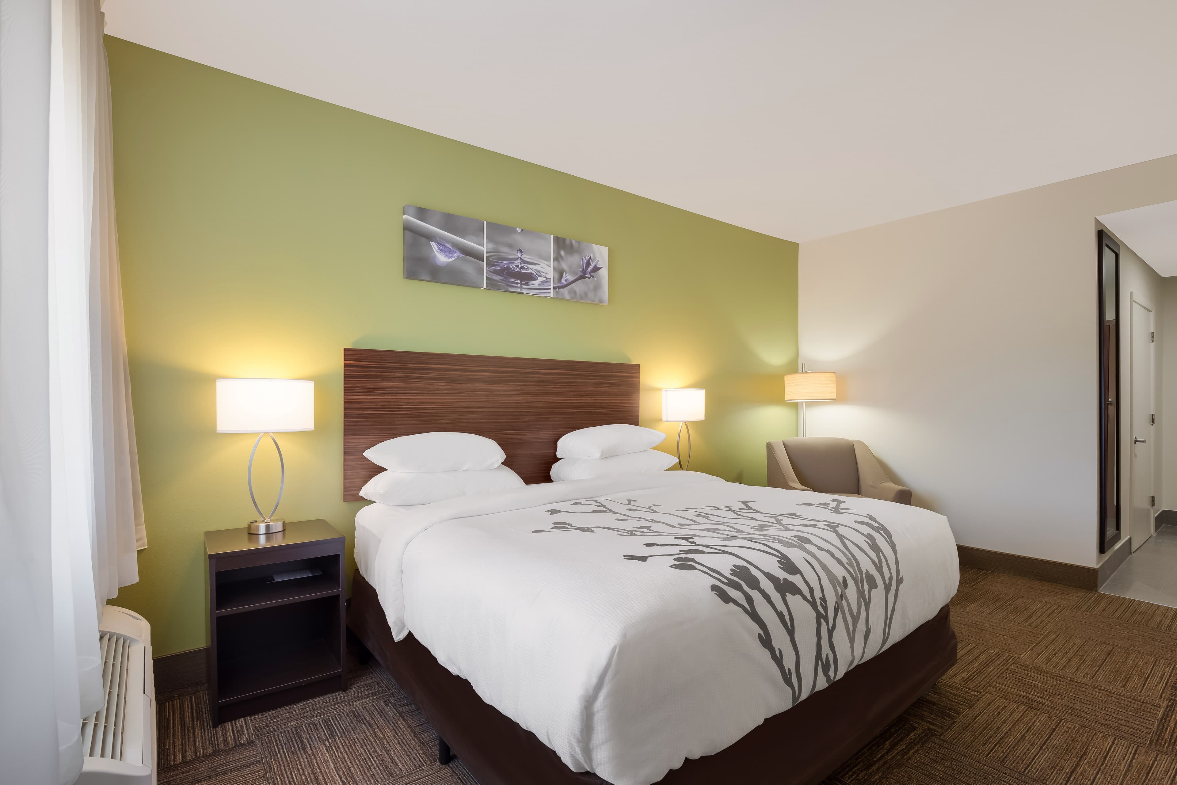 Sleep Inn & Suites North Mobile Saraland - Image 3